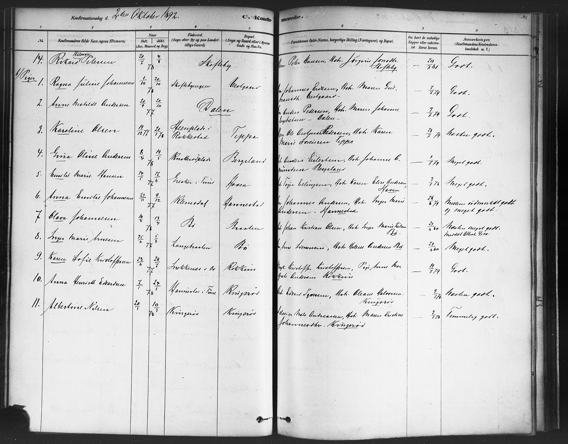 Varteig prestekontor Kirkebøker, SAO/A-10447a/F/Fa/L0002: Parish register (official) no. 2, 1878-1899, p. 141