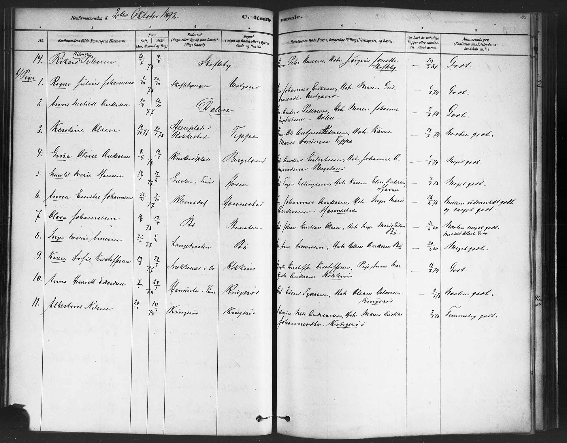 Varteig prestekontor Kirkebøker, AV/SAO-A-10447a/F/Fa/L0002: Parish register (official) no. 2, 1878-1899, p. 141