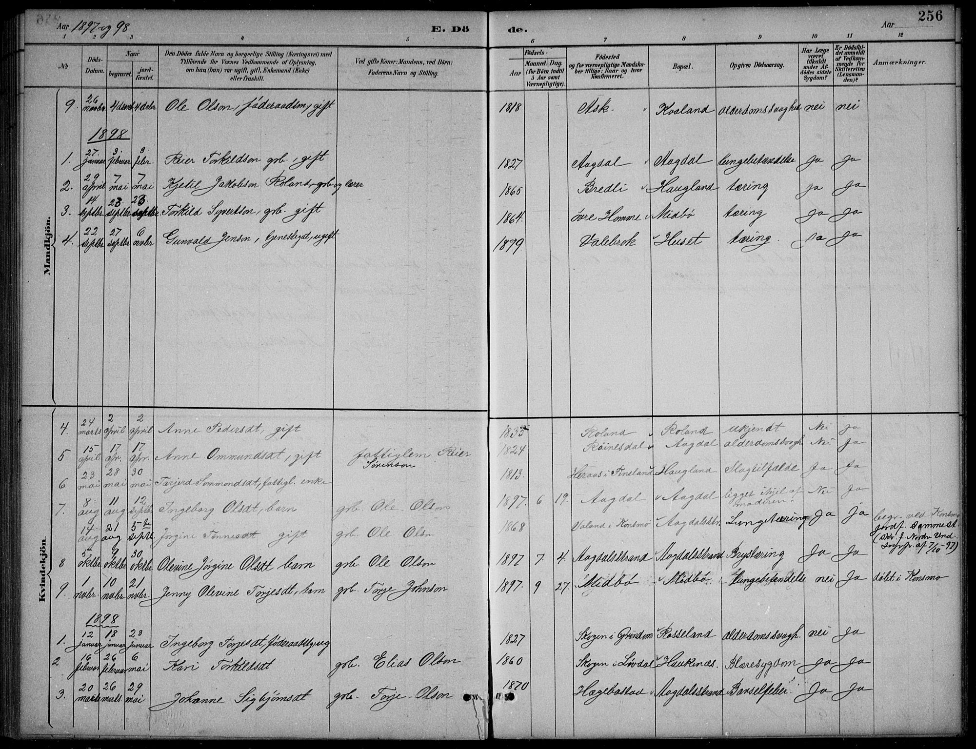 Bjelland sokneprestkontor, SAK/1111-0005/F/Fb/Fba/L0005: Parish register (copy) no. B 5, 1887-1923, p. 256