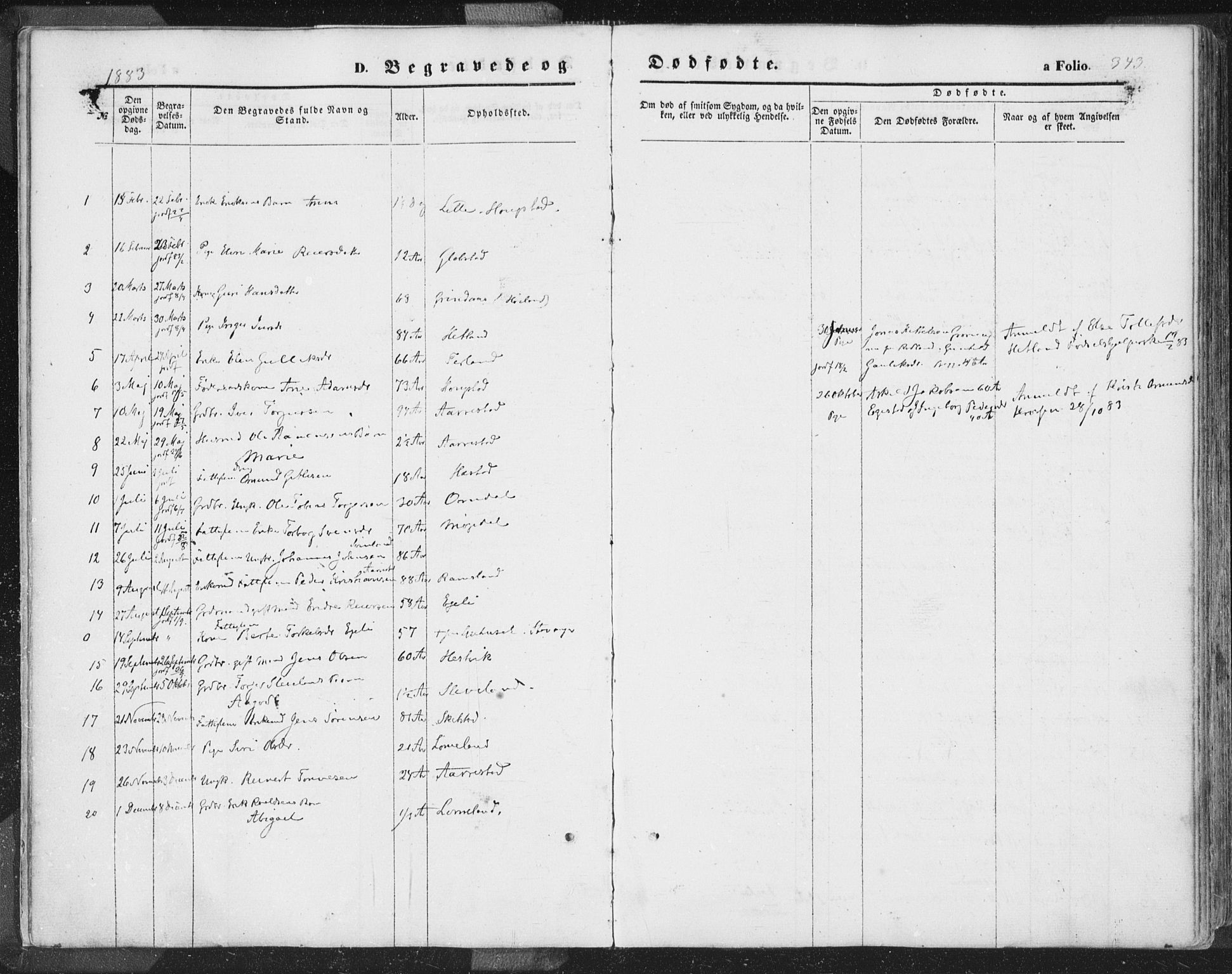 Helleland sokneprestkontor, SAST/A-101810: Parish register (official) no. A 7.2, 1863-1886, p. 343