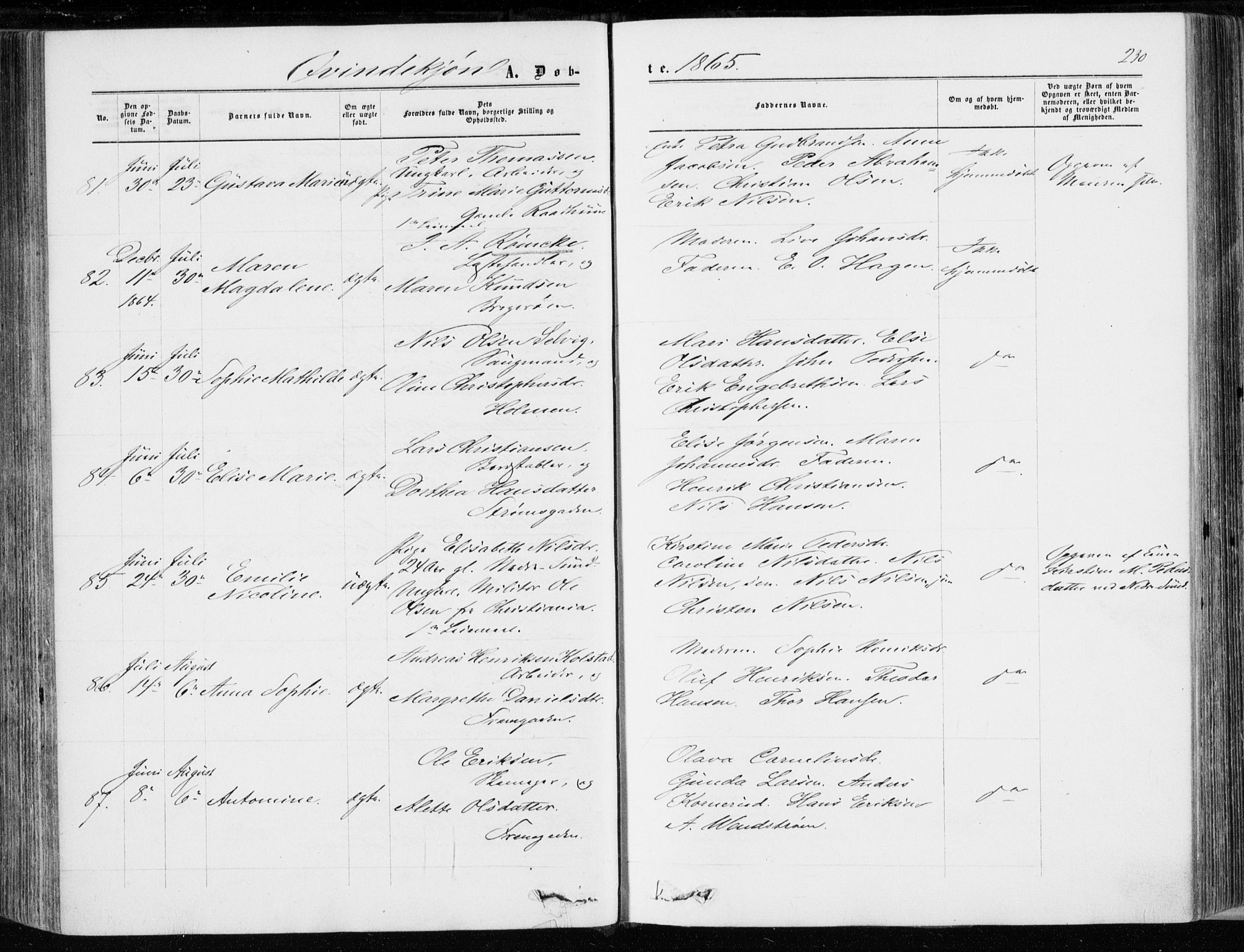 Bragernes kirkebøker, AV/SAKO-A-6/F/Fb/L0003: Parish register (official) no. II 3, 1860-1868, p. 230