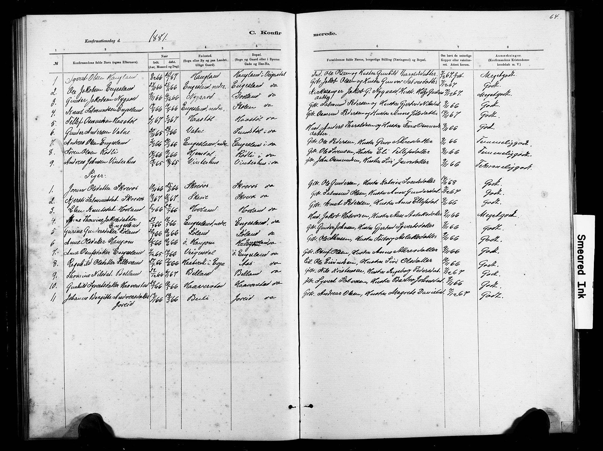 Herefoss sokneprestkontor, SAK/1111-0019/F/Fb/Fbb/L0002: Parish register (copy) no. B 2, 1879-1894, p. 64