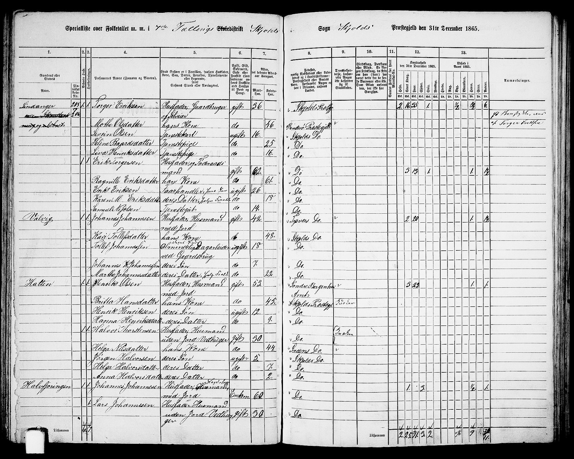 RA, 1865 census for Skjold, 1865, p. 96