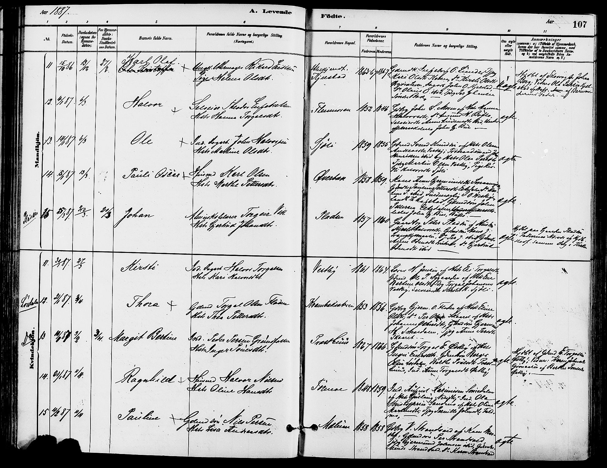 Trysil prestekontor, AV/SAH-PREST-046/H/Ha/Haa/L0008: Parish register (official) no. 8, 1881-1897, p. 107