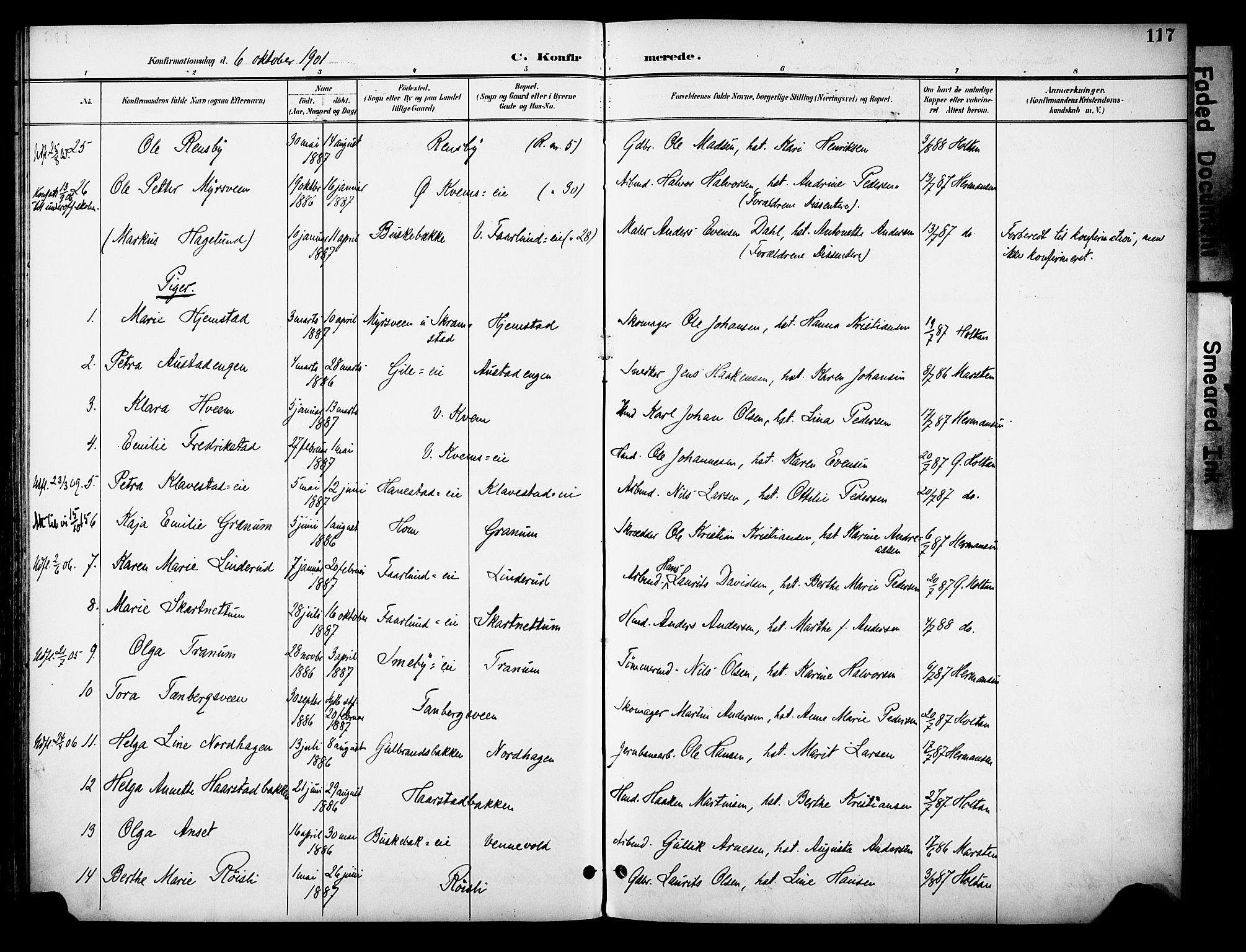 Østre Toten prestekontor, AV/SAH-PREST-104/H/Ha/Haa/L0009: Parish register (official) no. 9, 1897-1913, p. 117