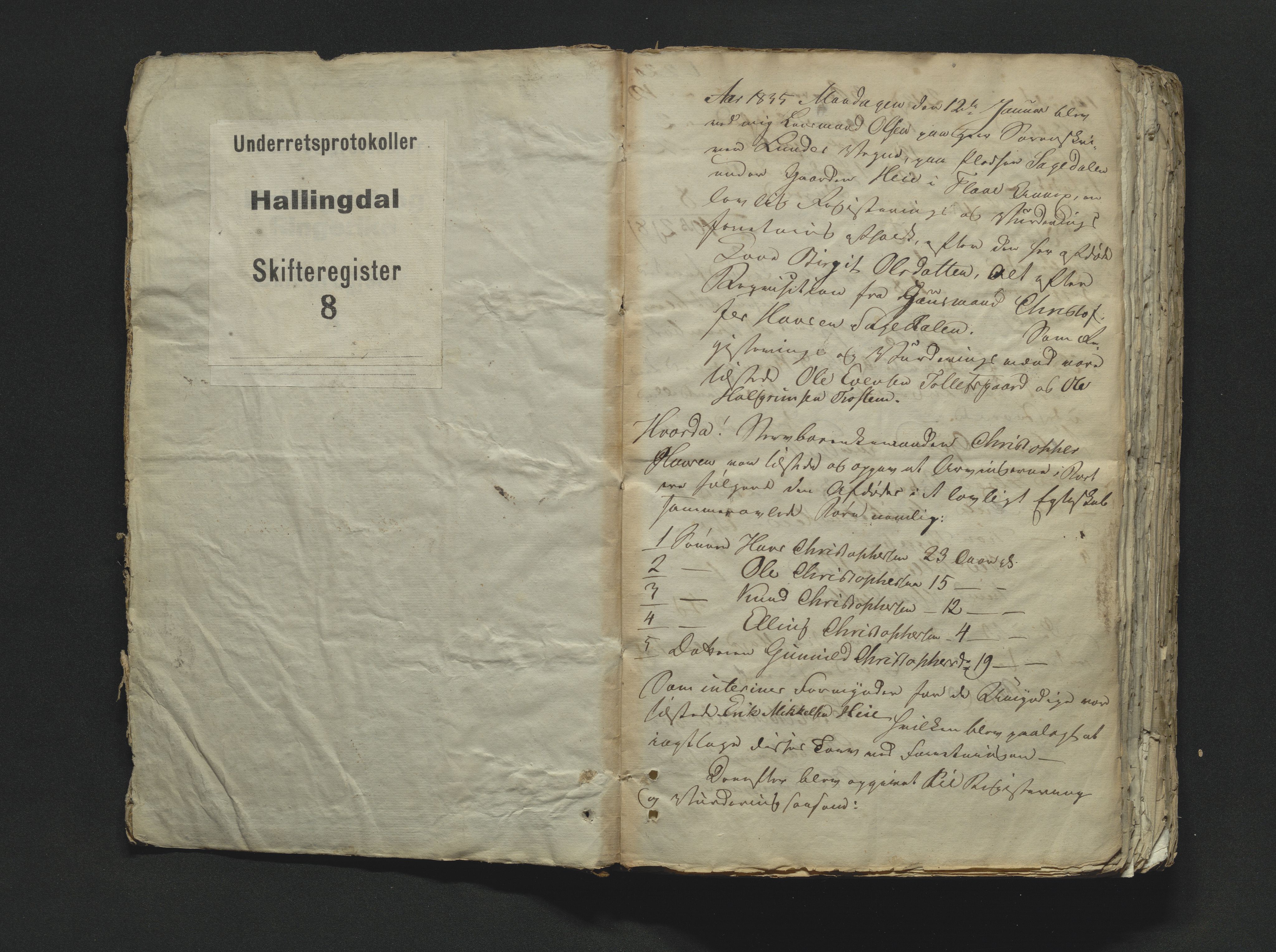 Hallingdal sorenskriveri, AV/SAKO-A-121/H/Hb/Hbb/Hbba/L0008: Skifteregistreringsprotokoll, Sorenskriveriet, 1835