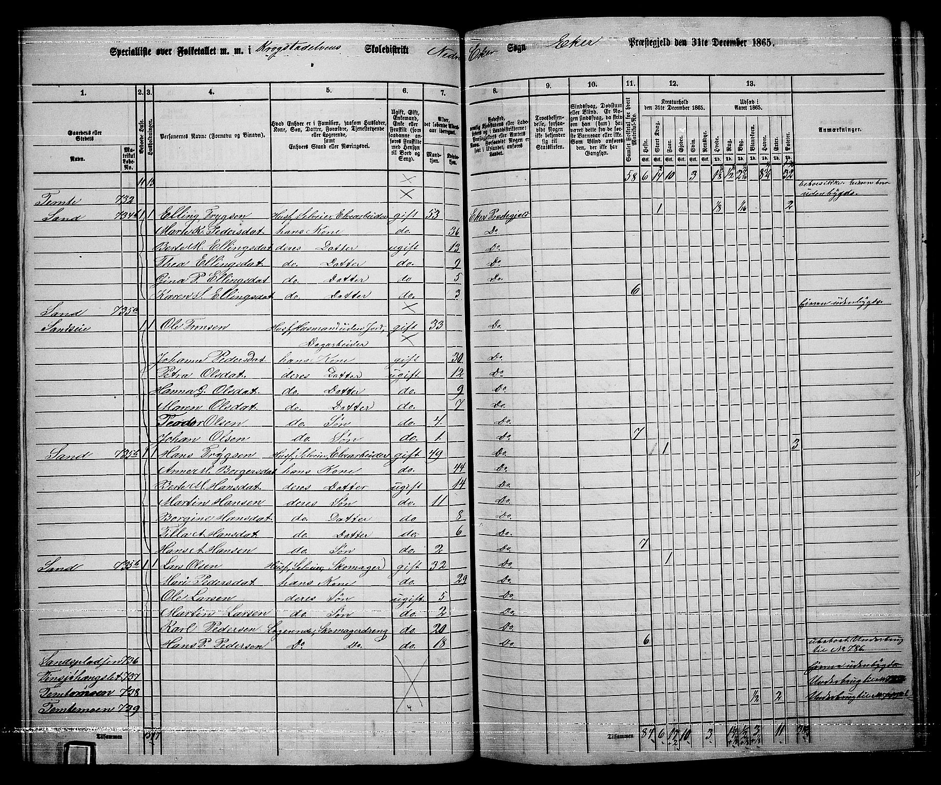 RA, 1865 census for Eiker, 1865, p. 324