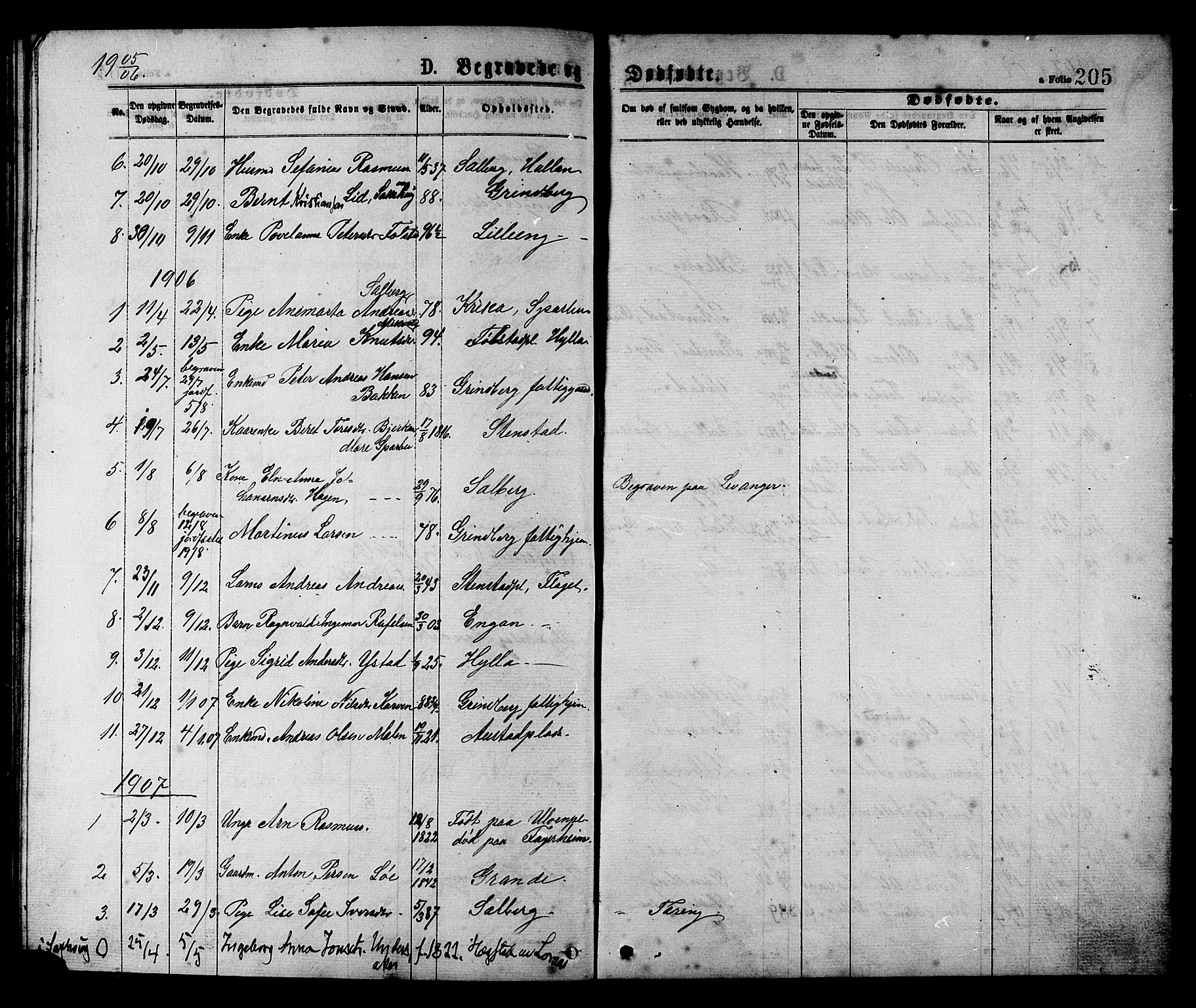 Ministerialprotokoller, klokkerbøker og fødselsregistre - Nord-Trøndelag, SAT/A-1458/731/L0311: Parish register (copy) no. 731C02, 1875-1911, p. 205
