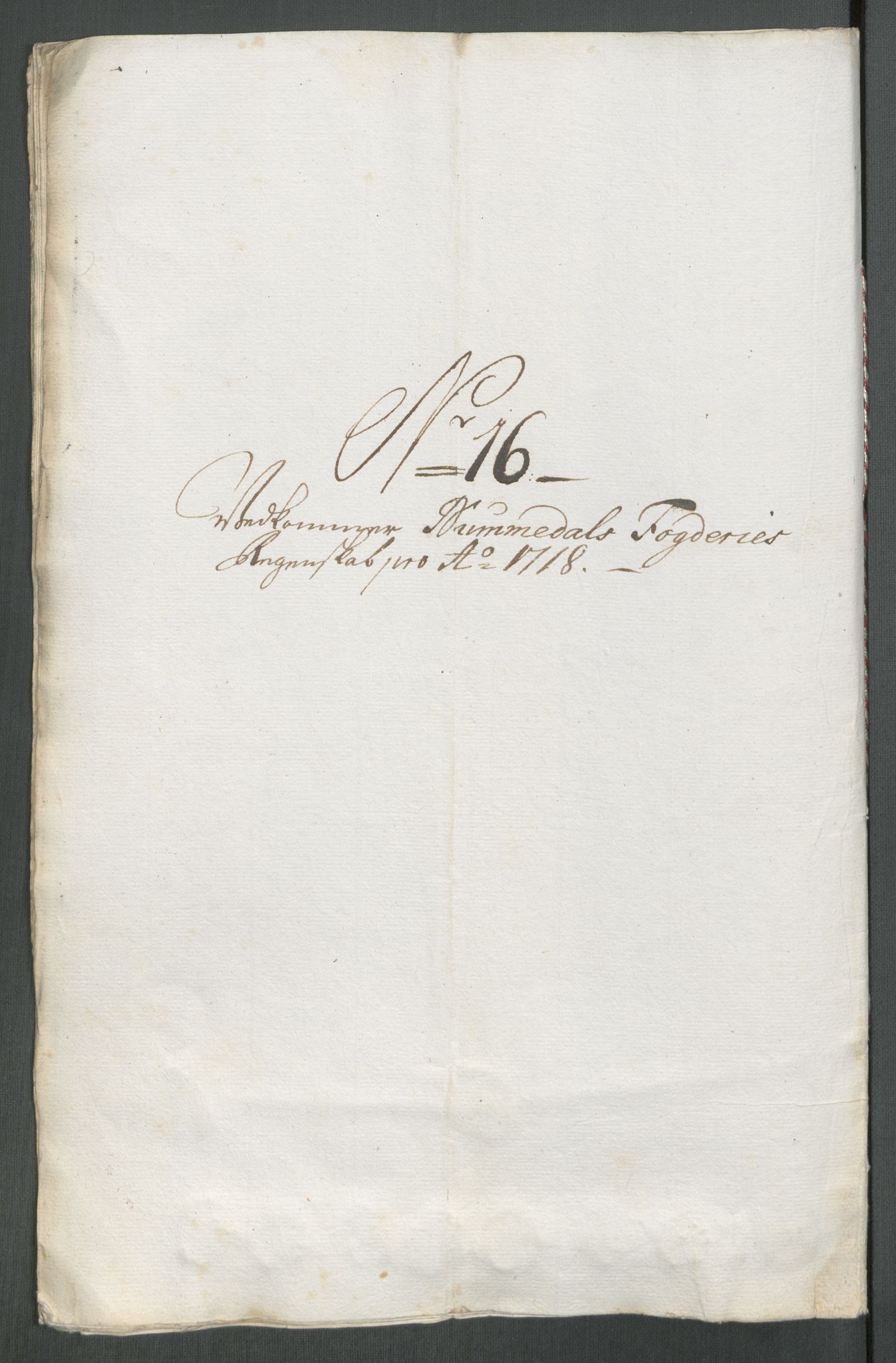 Rentekammeret inntil 1814, Reviderte regnskaper, Fogderegnskap, AV/RA-EA-4092/R64/L4439: Fogderegnskap Namdal, 1718, p. 168