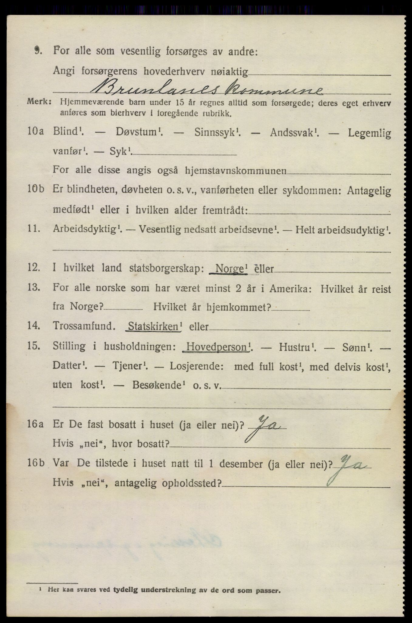 SAKO, 1920 census for Brunlanes, 1920, p. 10826