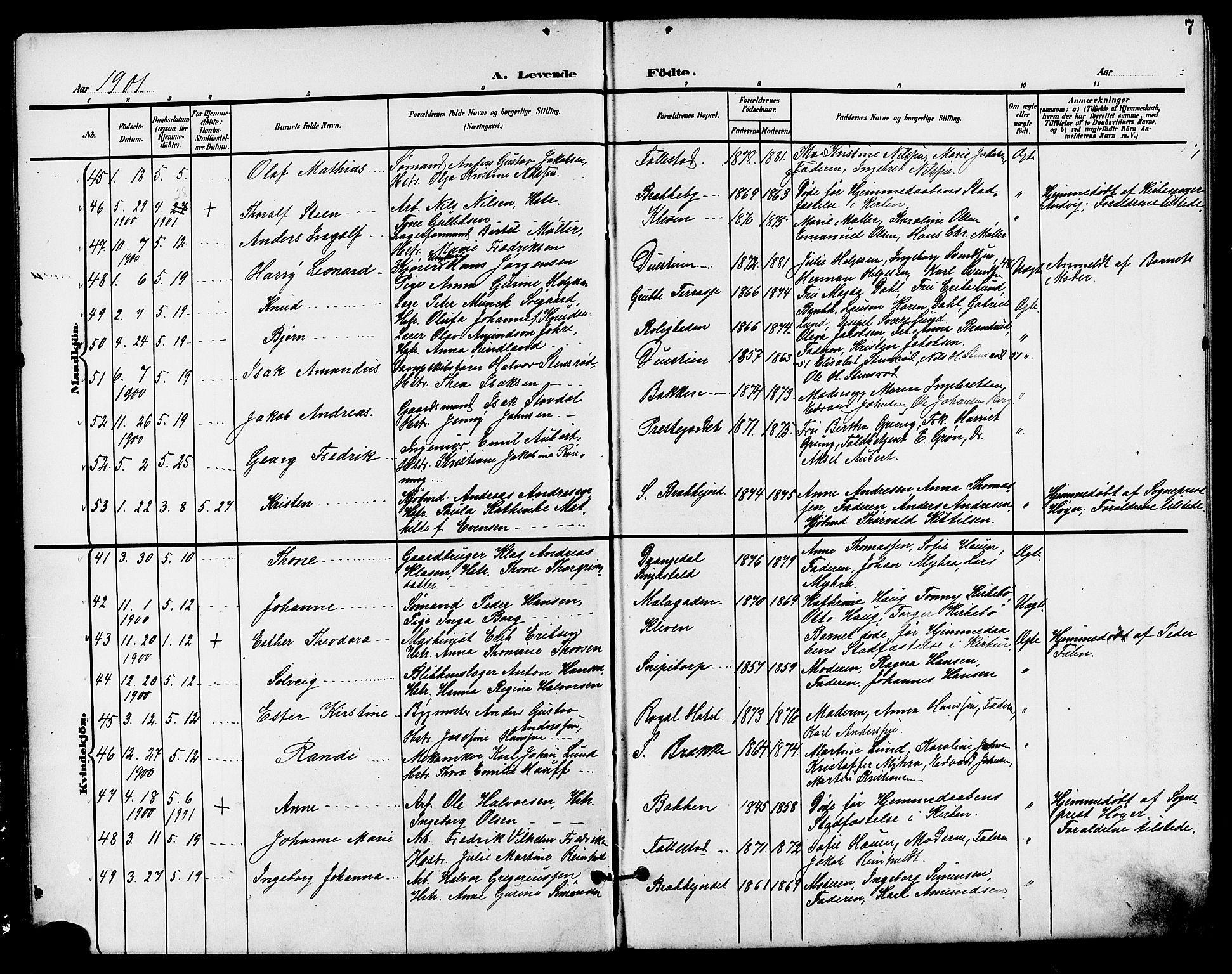 Skien kirkebøker, AV/SAKO-A-302/G/Ga/L0008: Parish register (copy) no. 8, 1900-1910, p. 7