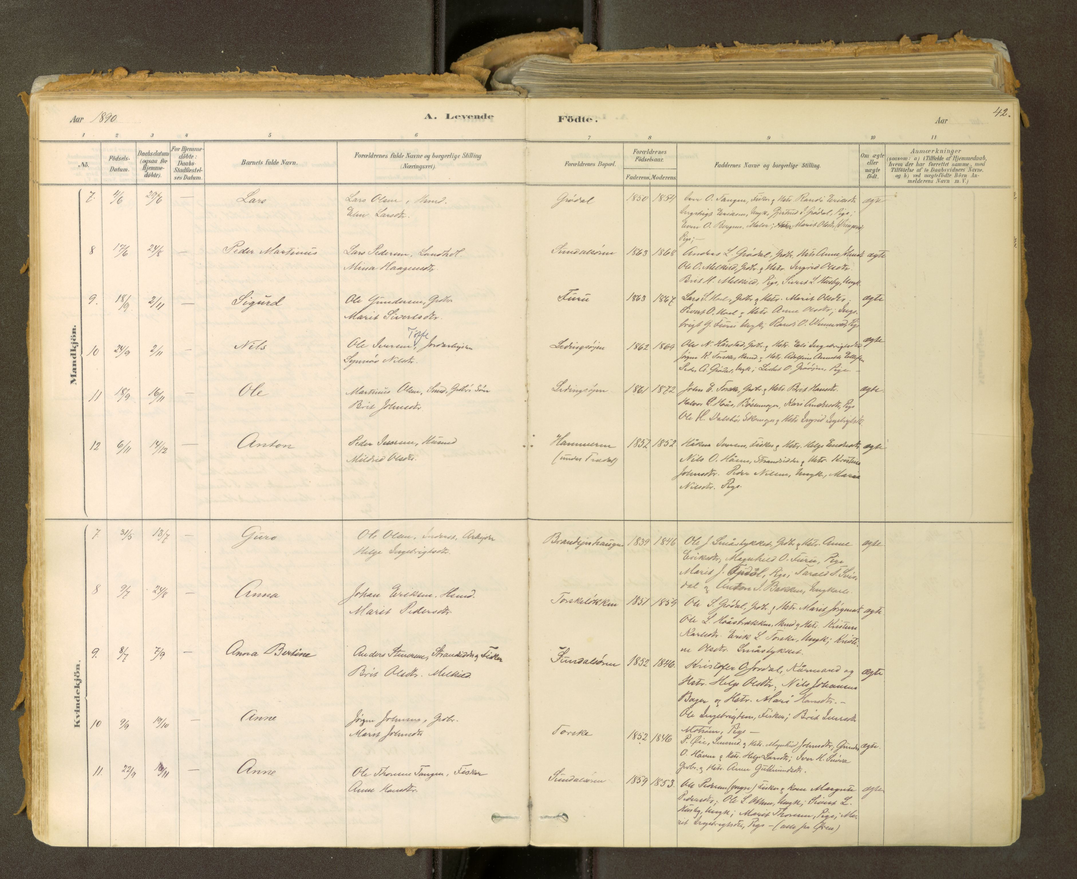 Sunndal sokneprestkontor, SAT/A-1085/1/I/I1/I1a: Parish register (official) no. 2, 1877-1914, p. 42