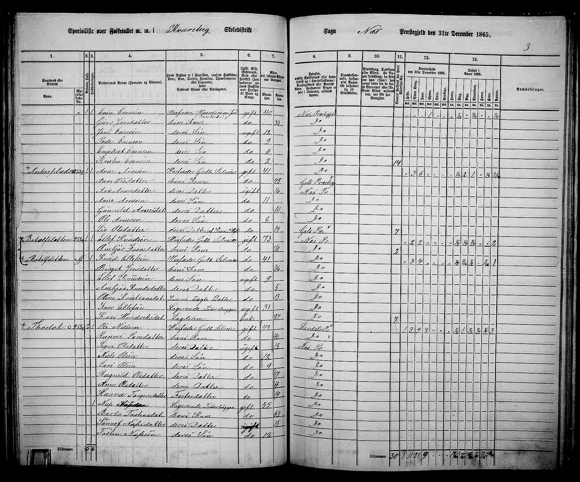 RA, 1865 census for Nes, 1865, p. 130