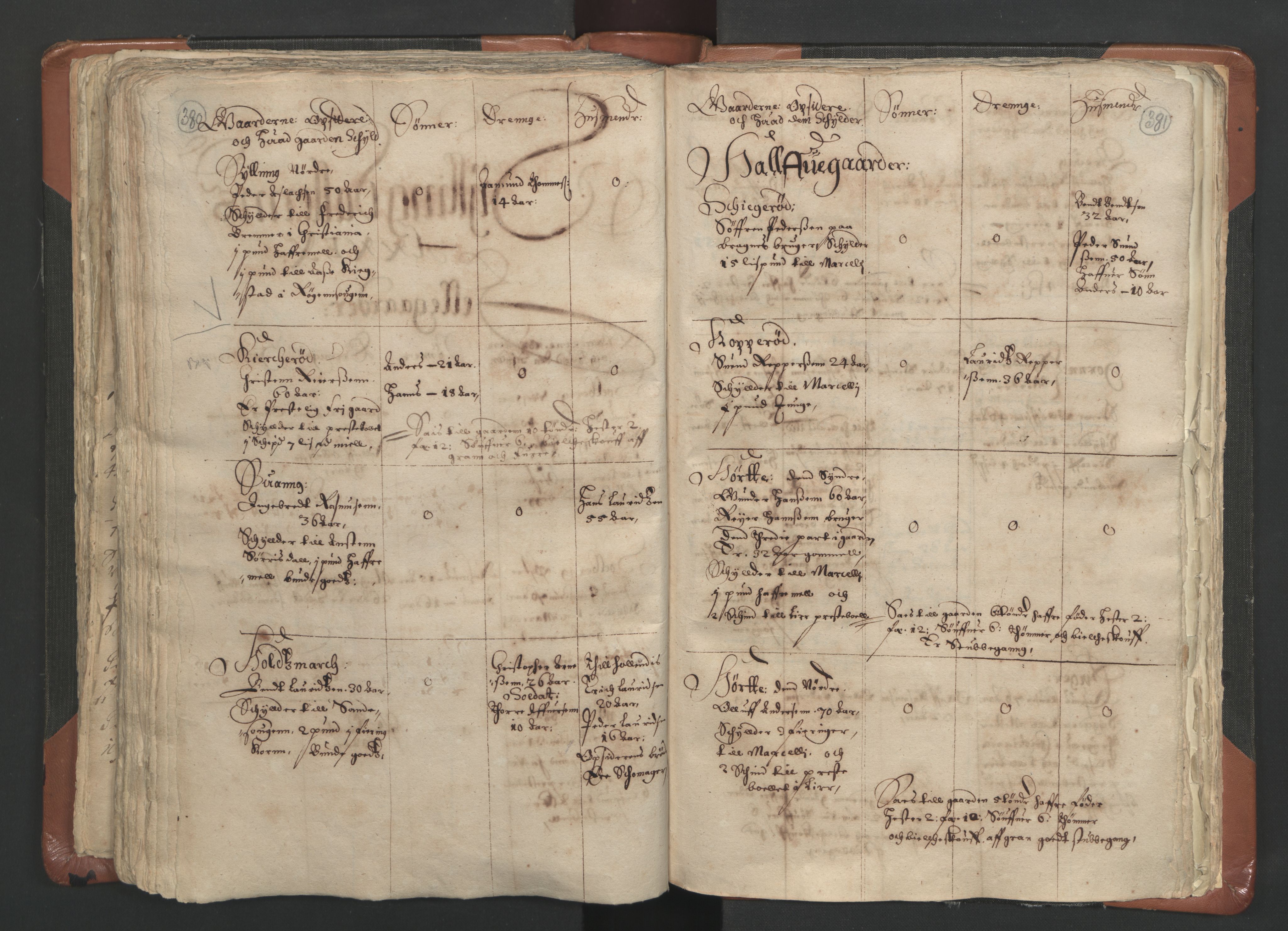 RA, Vicar's Census 1664-1666, no. 9: Bragernes deanery, 1664-1666, p. 380-381