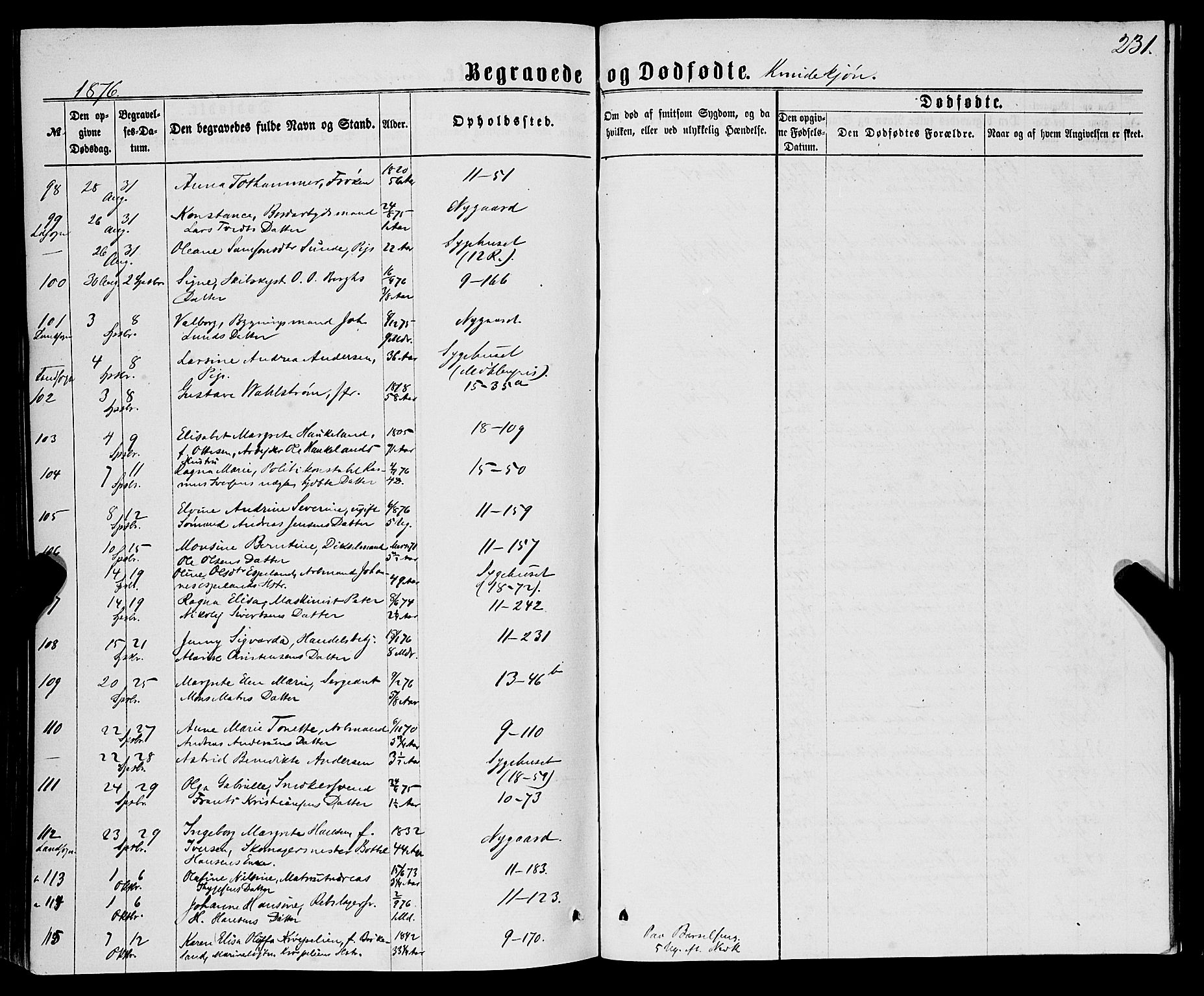 Domkirken sokneprestembete, AV/SAB-A-74801/H/Haa/L0042: Parish register (official) no. E 3, 1863-1876, p. 231