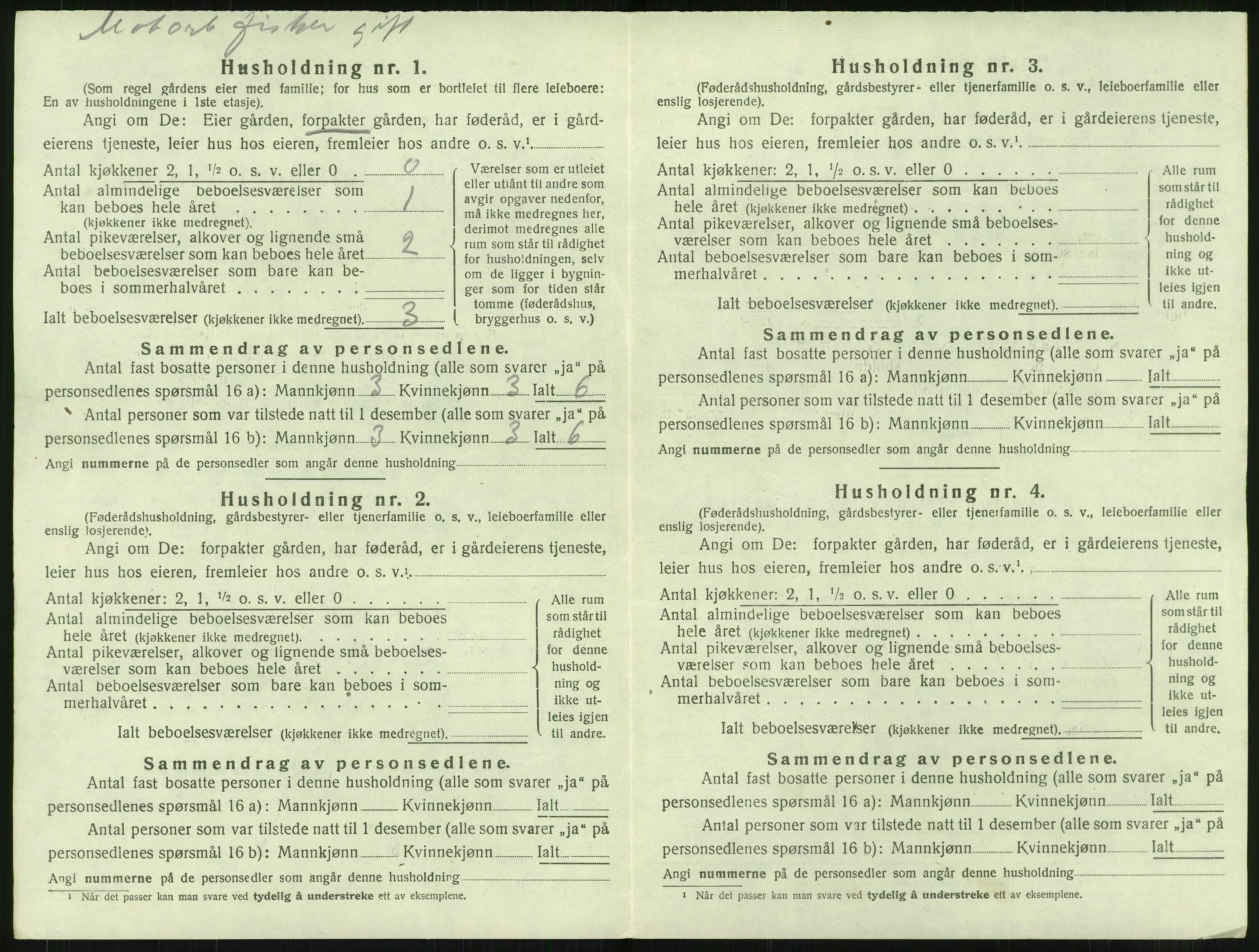 SAT, 1920 census for Borge, 1920, p. 1040