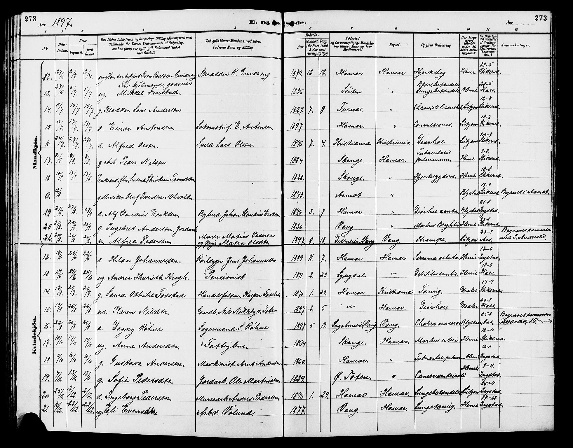 Vang prestekontor, Hedmark, AV/SAH-PREST-008/H/Ha/Hab/L0013: Parish register (copy) no. 13, 1890-1899, p. 273