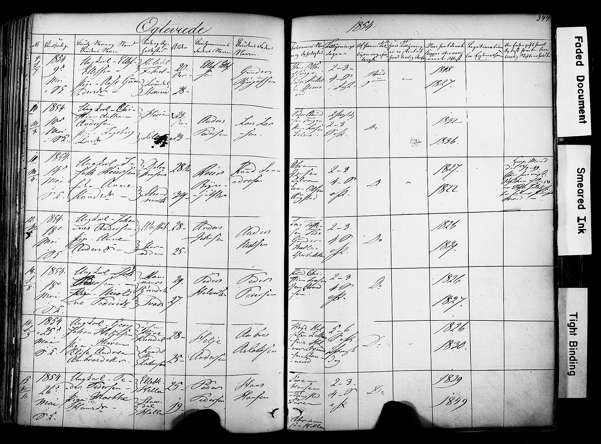 Solum kirkebøker, SAKO/A-306/F/Fa/L0006: Parish register (official) no. I 6, 1844-1855, p. 344