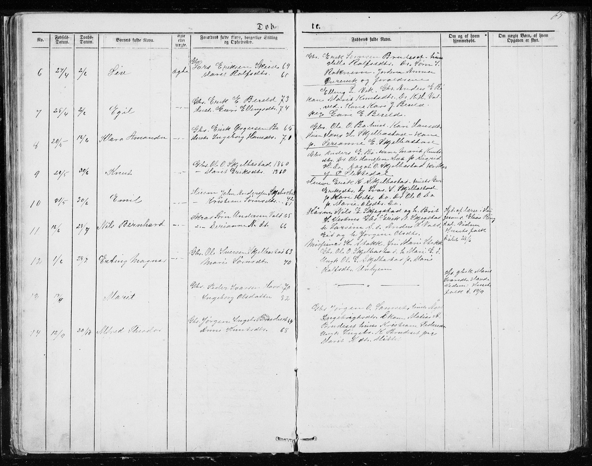 Ministerialprotokoller, klokkerbøker og fødselsregistre - Møre og Romsdal, AV/SAT-A-1454/543/L0564: Parish register (copy) no. 543C02, 1867-1915, p. 65