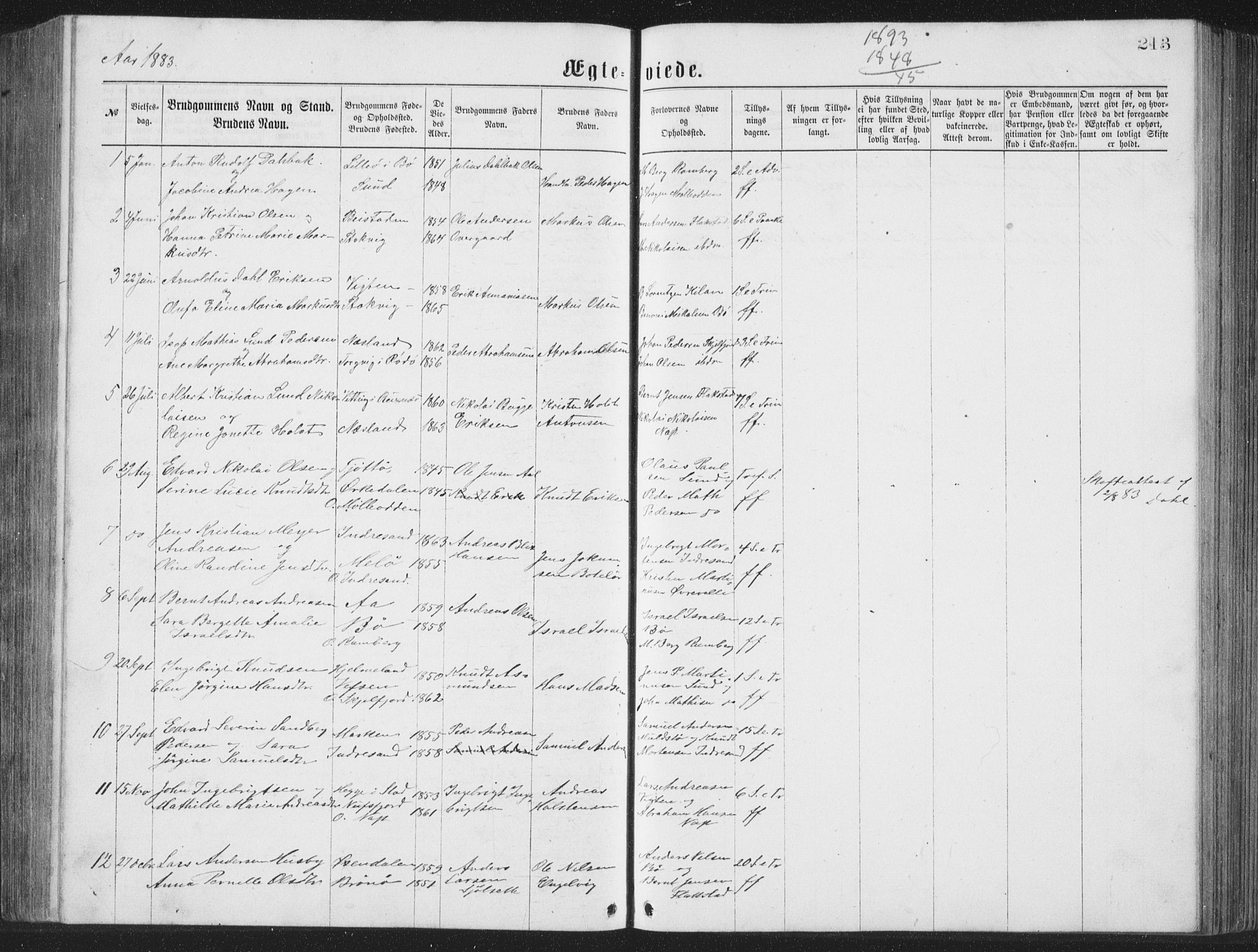 Ministerialprotokoller, klokkerbøker og fødselsregistre - Nordland, AV/SAT-A-1459/885/L1213: Parish register (copy) no. 885C02, 1874-1892, p. 213