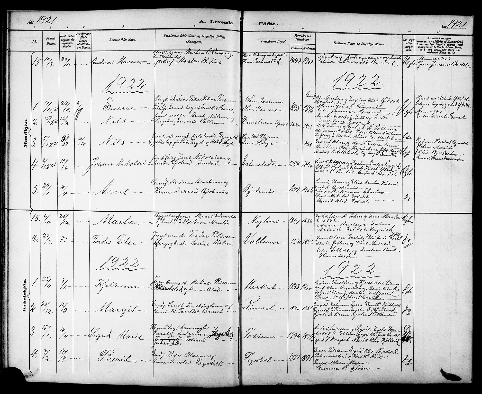 Ministerialprotokoller, klokkerbøker og fødselsregistre - Sør-Trøndelag, SAT/A-1456/689/L1044: Parish register (copy) no. 689C03, 1893-1922