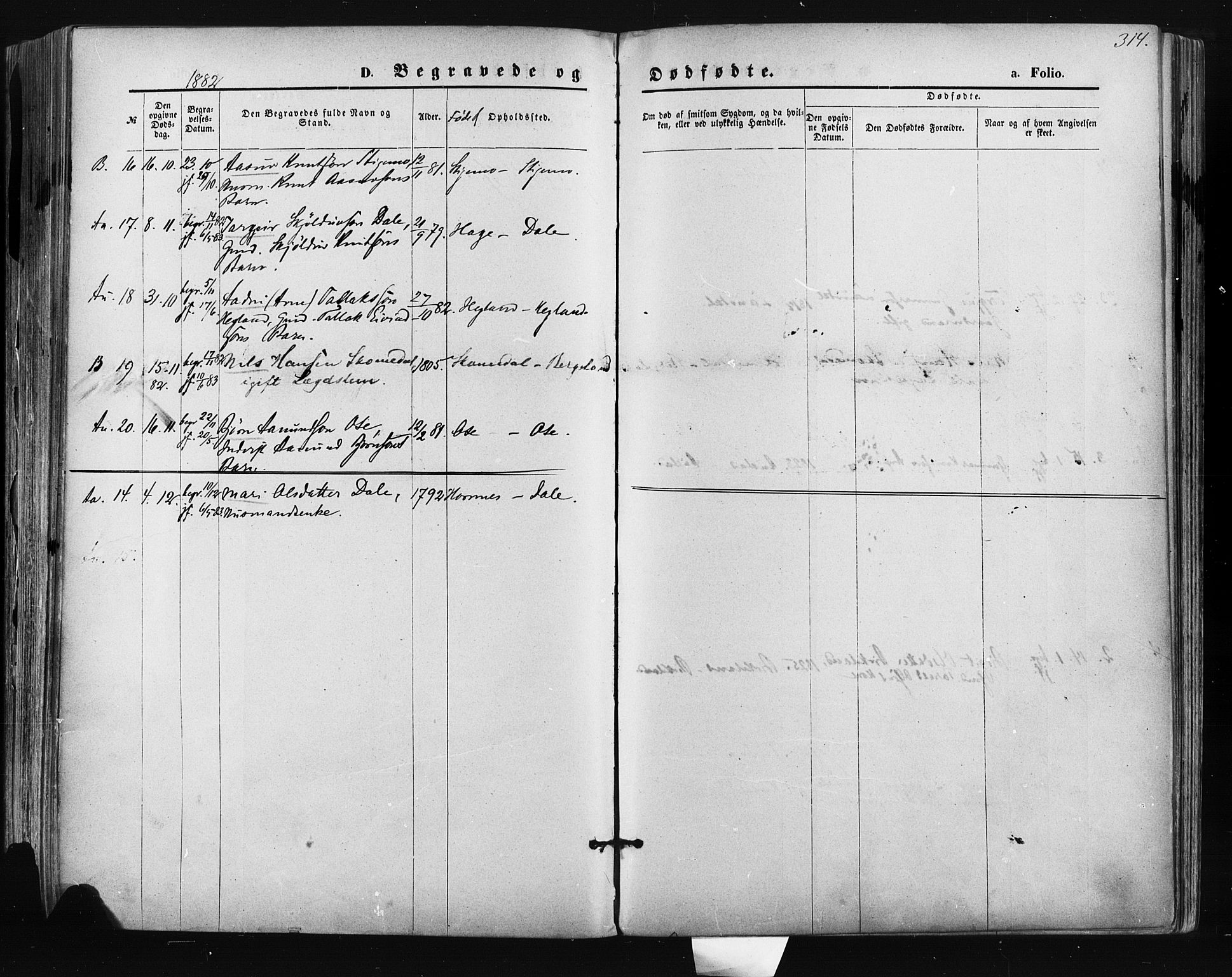 Bygland sokneprestkontor, AV/SAK-1111-0006/F/Fa/Fab/L0006: Parish register (official) no. A 6, 1873-1884, p. 314