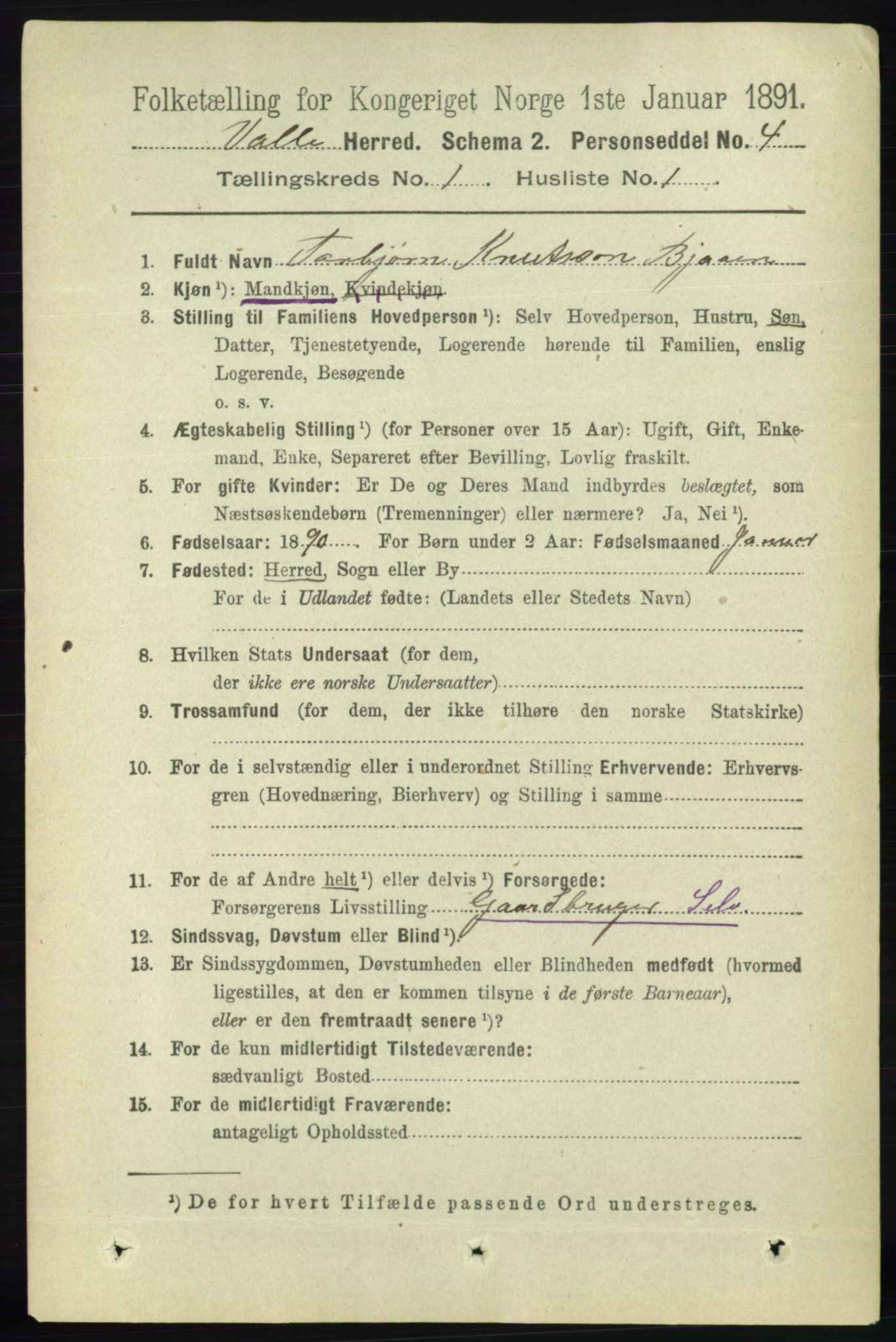 RA, 1891 census for 0940 Valle, 1891, p. 68