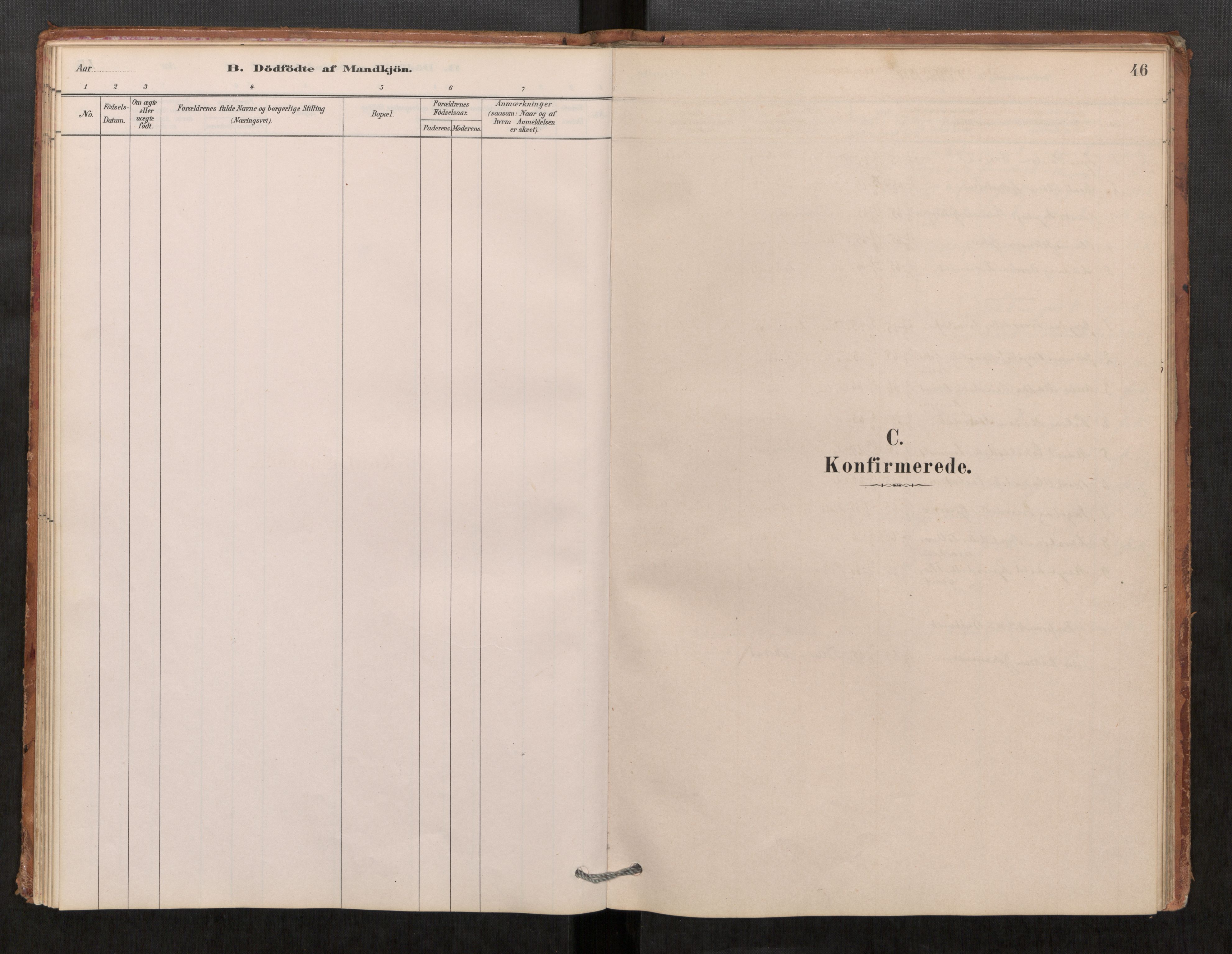 Klæbu sokneprestkontor, SAT/A-1112: Parish register (official) no. 1, 1880-1900, p. 46