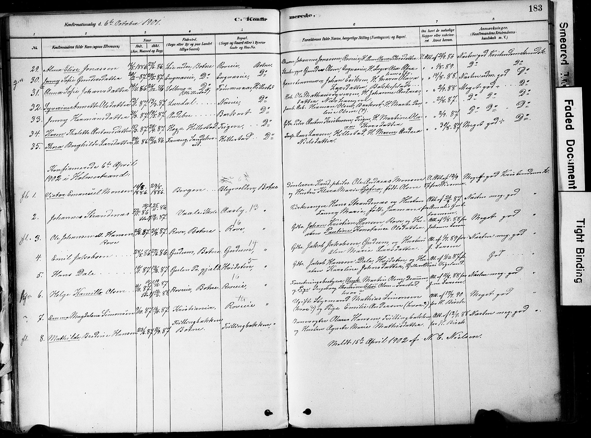 Botne kirkebøker, AV/SAKO-A-340/F/Fa/L0007: Parish register (official) no. I 7, 1878-1910, p. 183