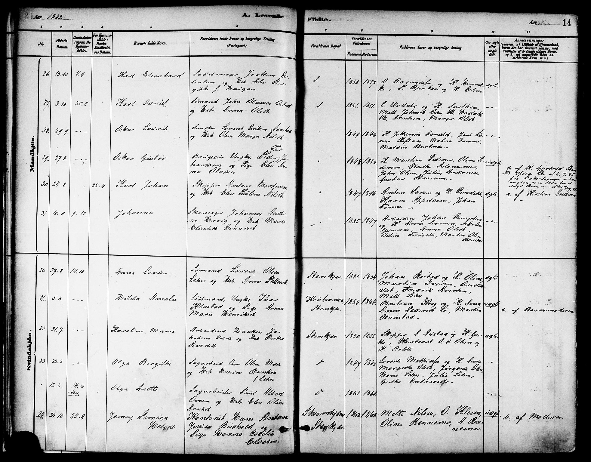 Ministerialprotokoller, klokkerbøker og fødselsregistre - Nord-Trøndelag, AV/SAT-A-1458/739/L0371: Parish register (official) no. 739A03, 1881-1895, p. 14