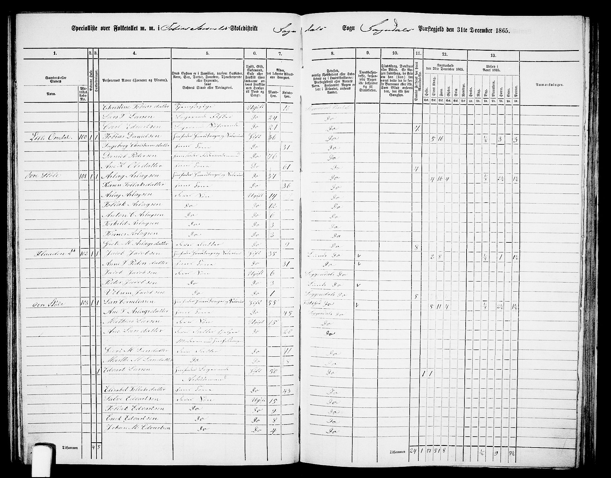 RA, 1865 census for Sokndal, 1865, p. 74