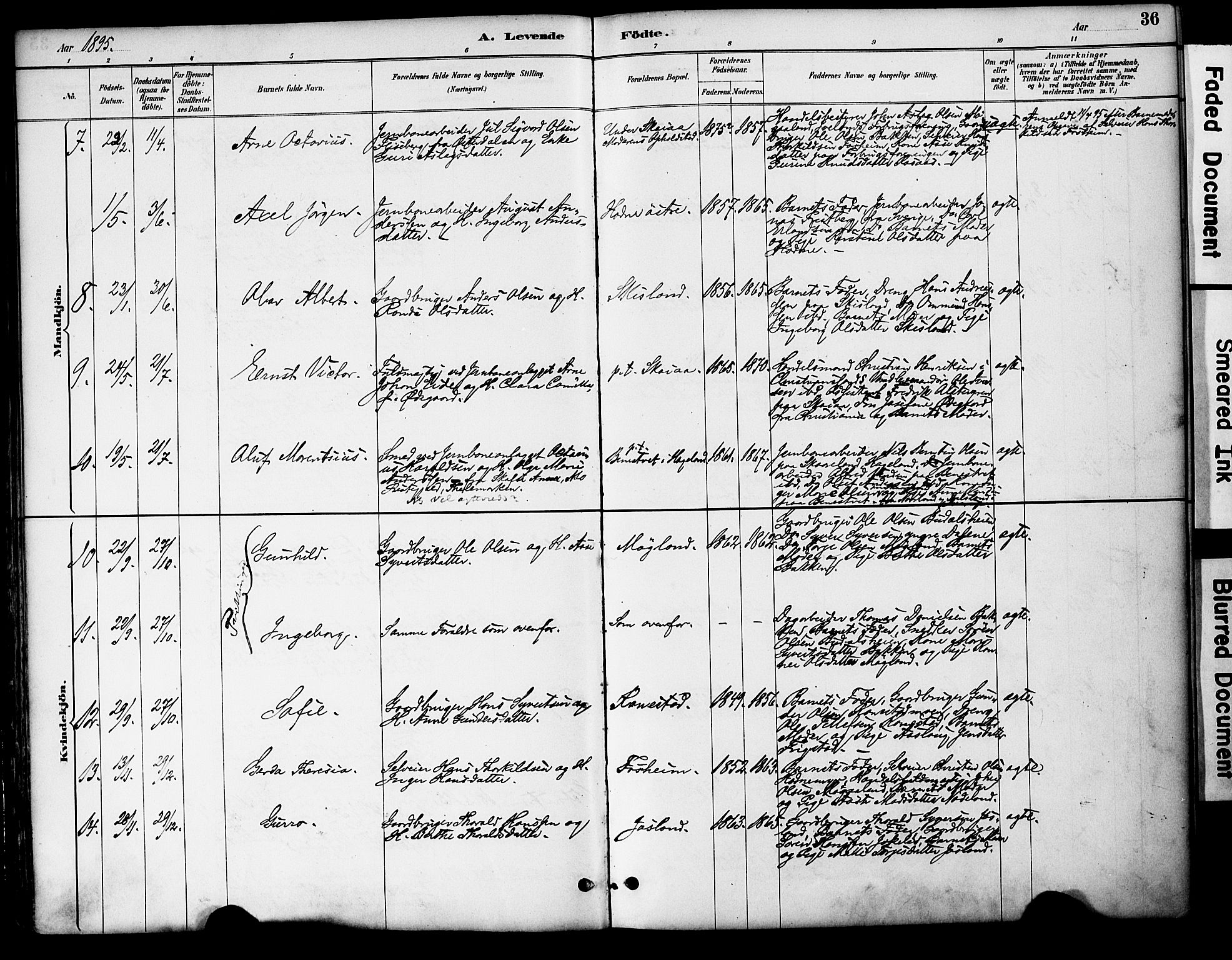 Evje sokneprestkontor, AV/SAK-1111-0008/F/Fa/Fac/L0003: Parish register (official) no. A 3, 1884-1909, p. 36