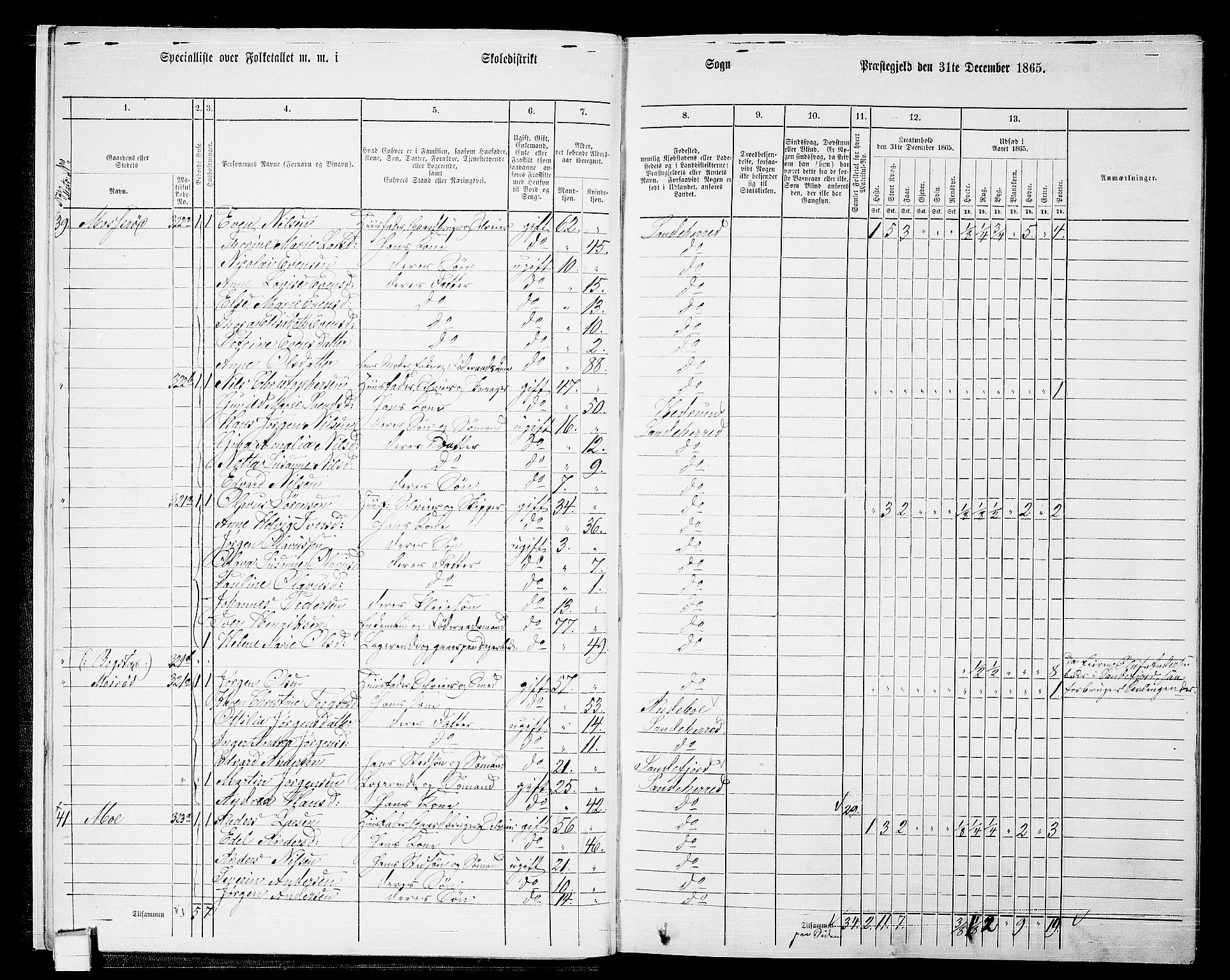 RA, 1865 census for Sandeherred/Sandeherred, 1865, p. 10