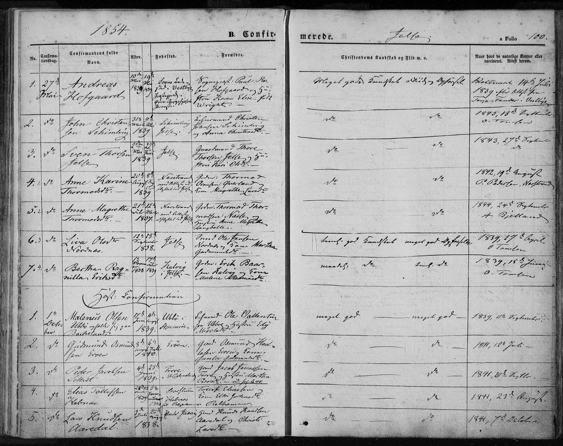 Jelsa sokneprestkontor, SAST/A-101842/01/IV: Parish register (official) no. A 7, 1854-1866, p. 100