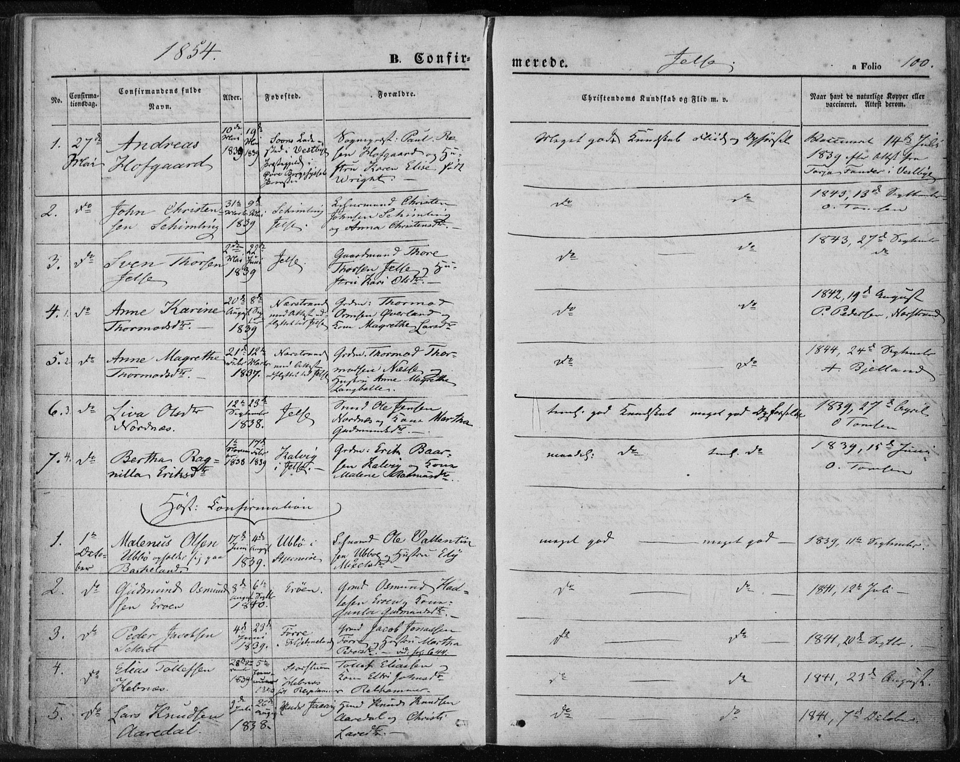 Jelsa sokneprestkontor, AV/SAST-A-101842/01/IV: Parish register (official) no. A 7, 1854-1866, p. 100