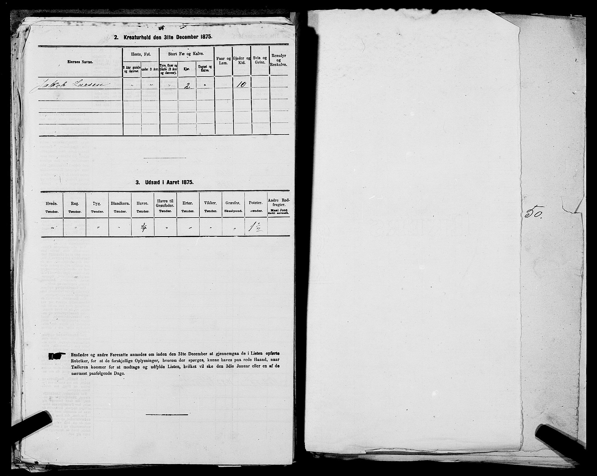 SAST, 1875 census for 1138P Jelsa, 1875, p. 972