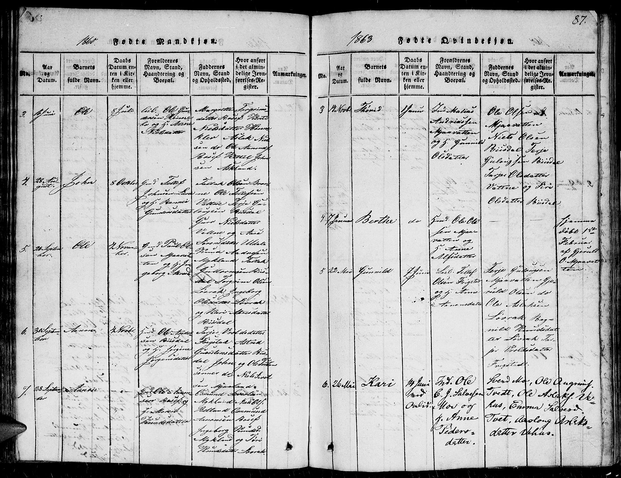 Herefoss sokneprestkontor, AV/SAK-1111-0019/F/Fb/Fbc/L0001: Parish register (copy) no. B 1, 1816-1866, p. 87