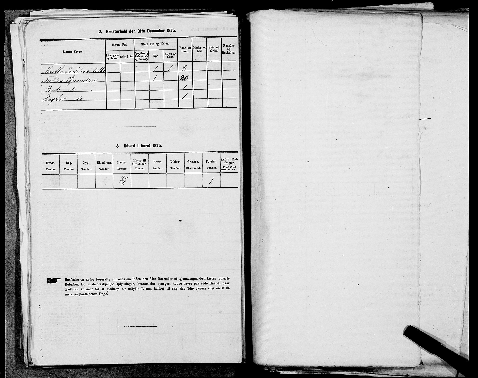 SAST, 1875 census for 1146P Tysvær, 1875, p. 265