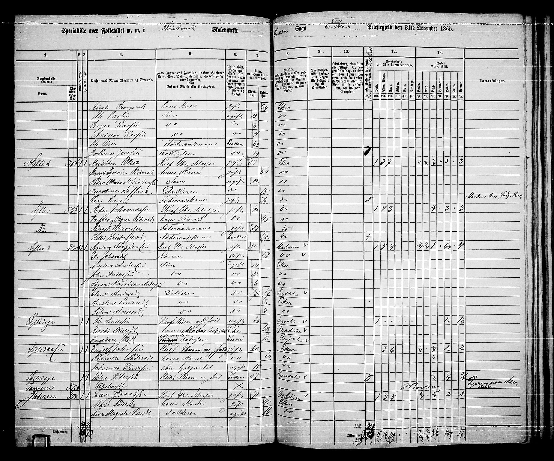 RA, 1865 census for Eiker, 1865, p. 425
