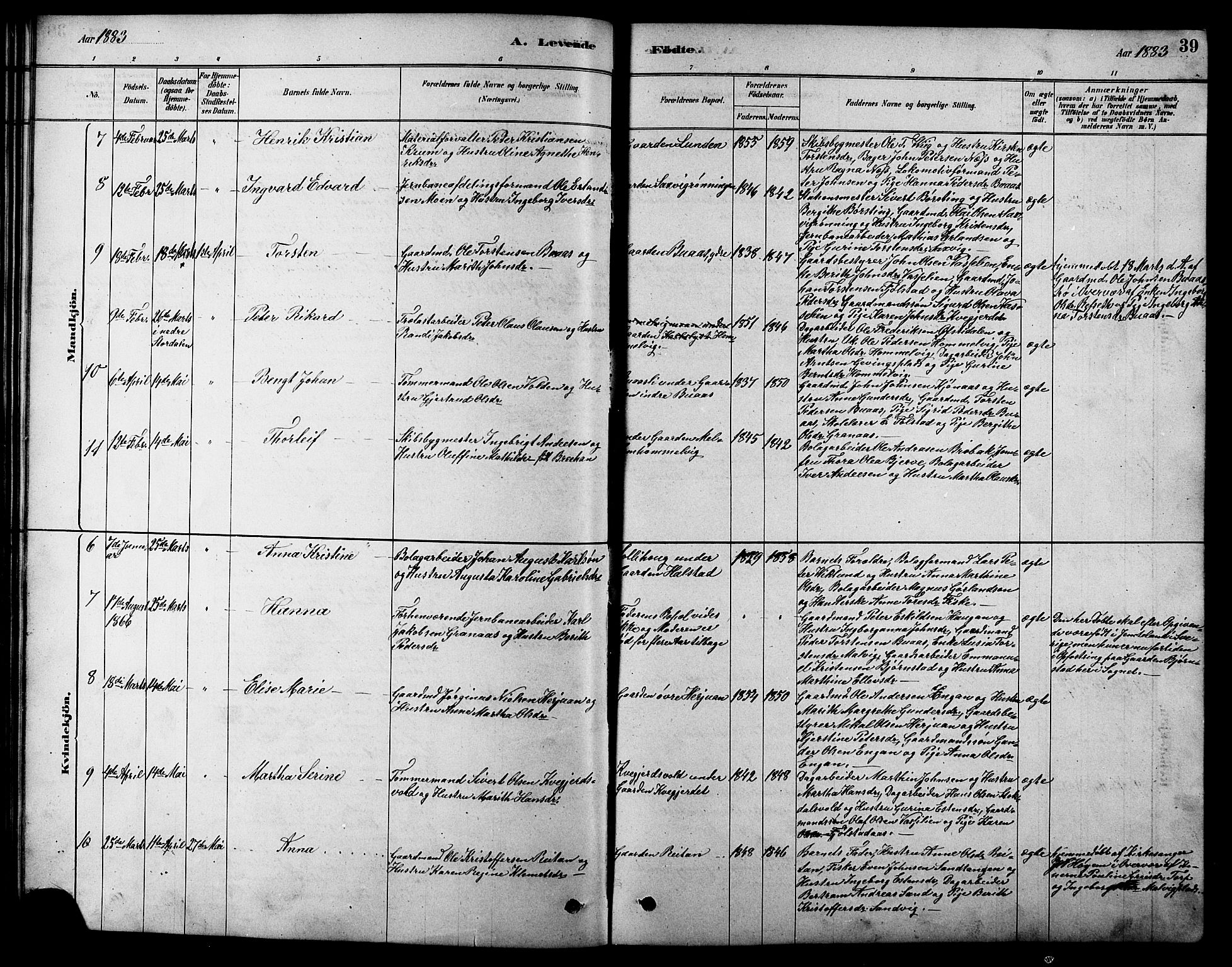 Ministerialprotokoller, klokkerbøker og fødselsregistre - Sør-Trøndelag, AV/SAT-A-1456/616/L0423: Parish register (copy) no. 616C06, 1878-1903, p. 39