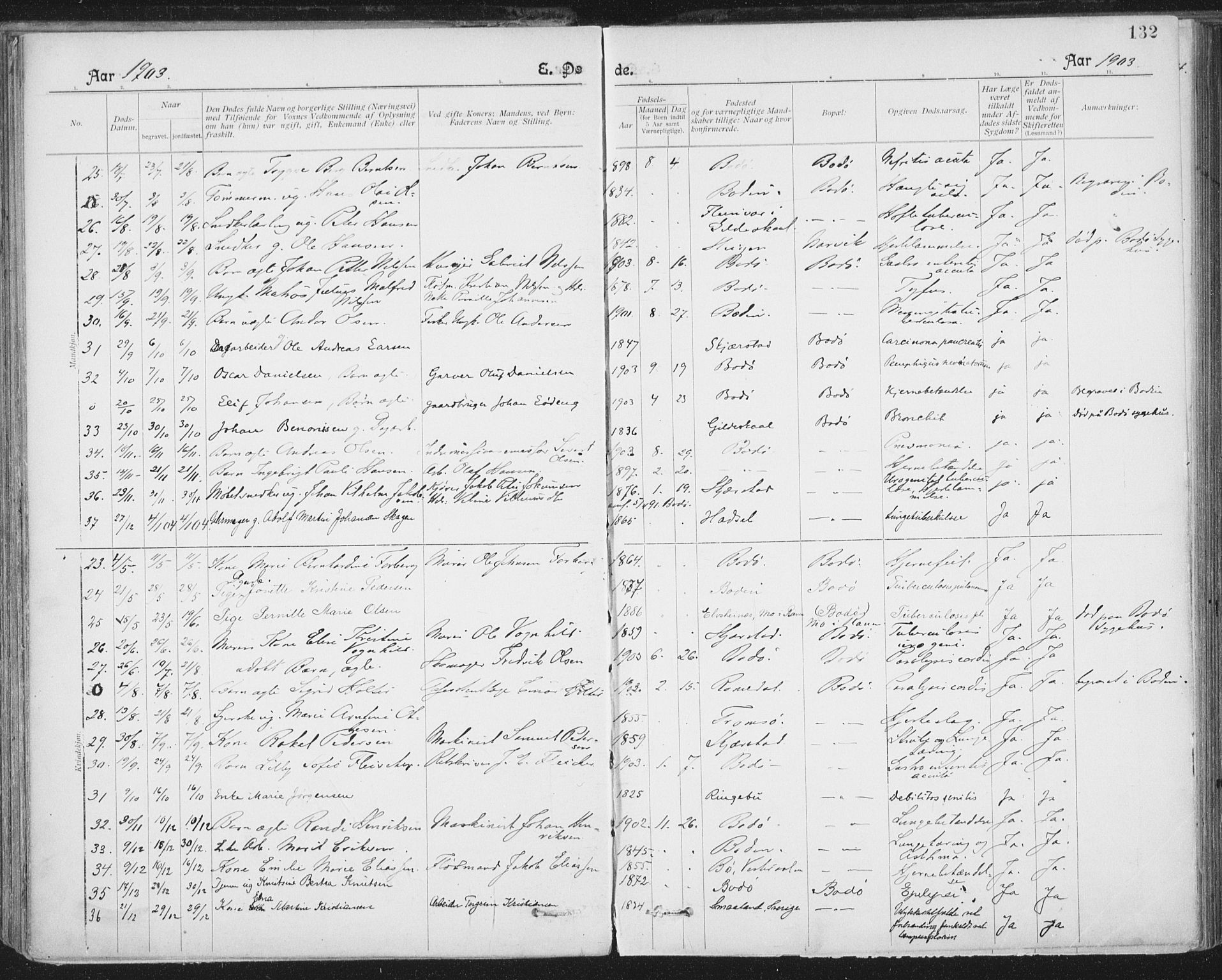 Ministerialprotokoller, klokkerbøker og fødselsregistre - Nordland, AV/SAT-A-1459/801/L0012: Parish register (official) no. 801A12, 1900-1916, p. 132