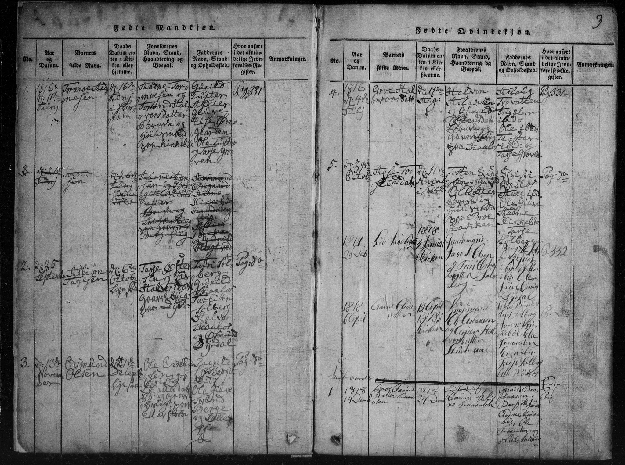 Rauland kirkebøker, SAKO/A-292/G/Gb/L0001: Parish register (copy) no. II 1, 1815-1886, p. 3