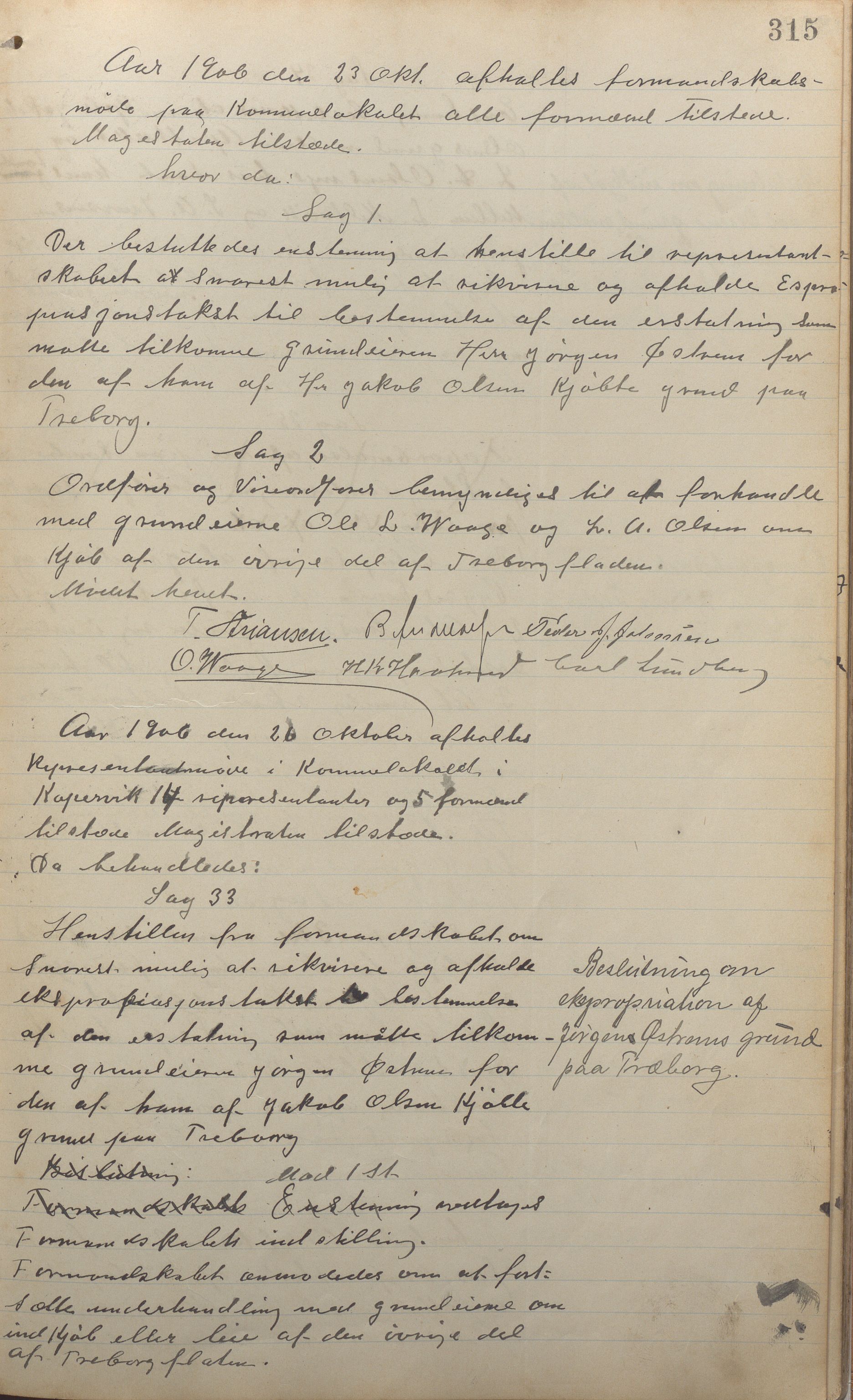 Kopervik Kommune - Formannskapet og Bystyret, IKAR/K-102468/A/Aa/L0003: Møtebok, 1894-1912, p. 315