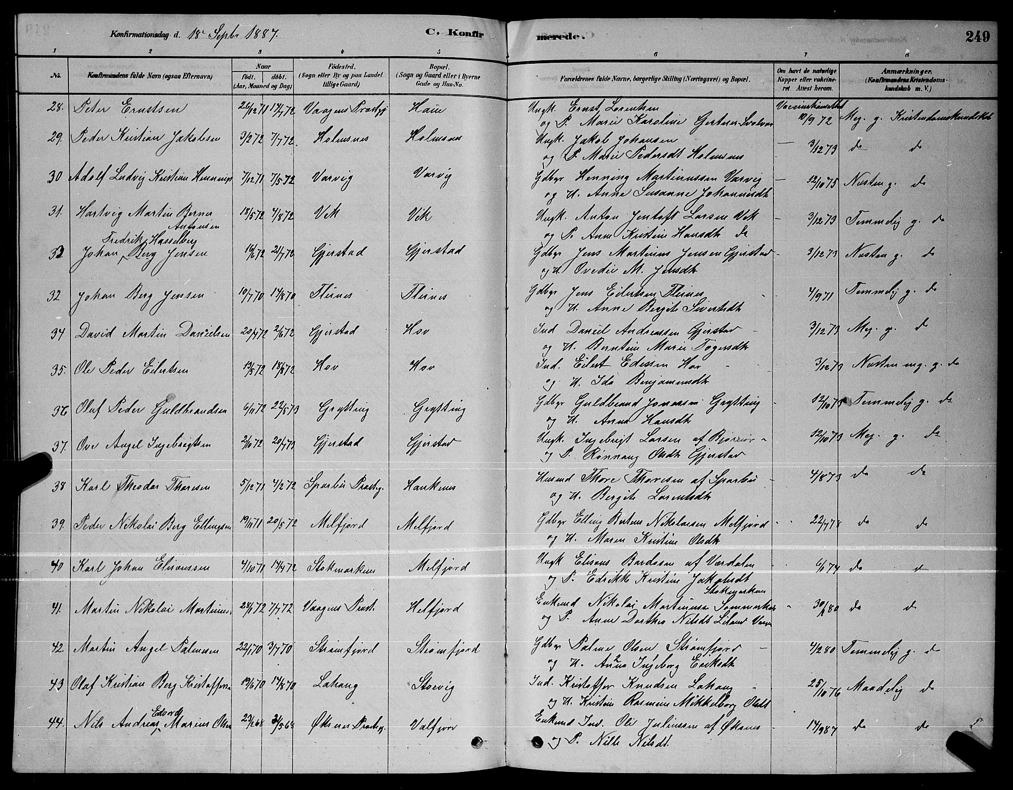 Ministerialprotokoller, klokkerbøker og fødselsregistre - Nordland, AV/SAT-A-1459/888/L1267: Parish register (copy) no. 888C05, 1878-1890, p. 249