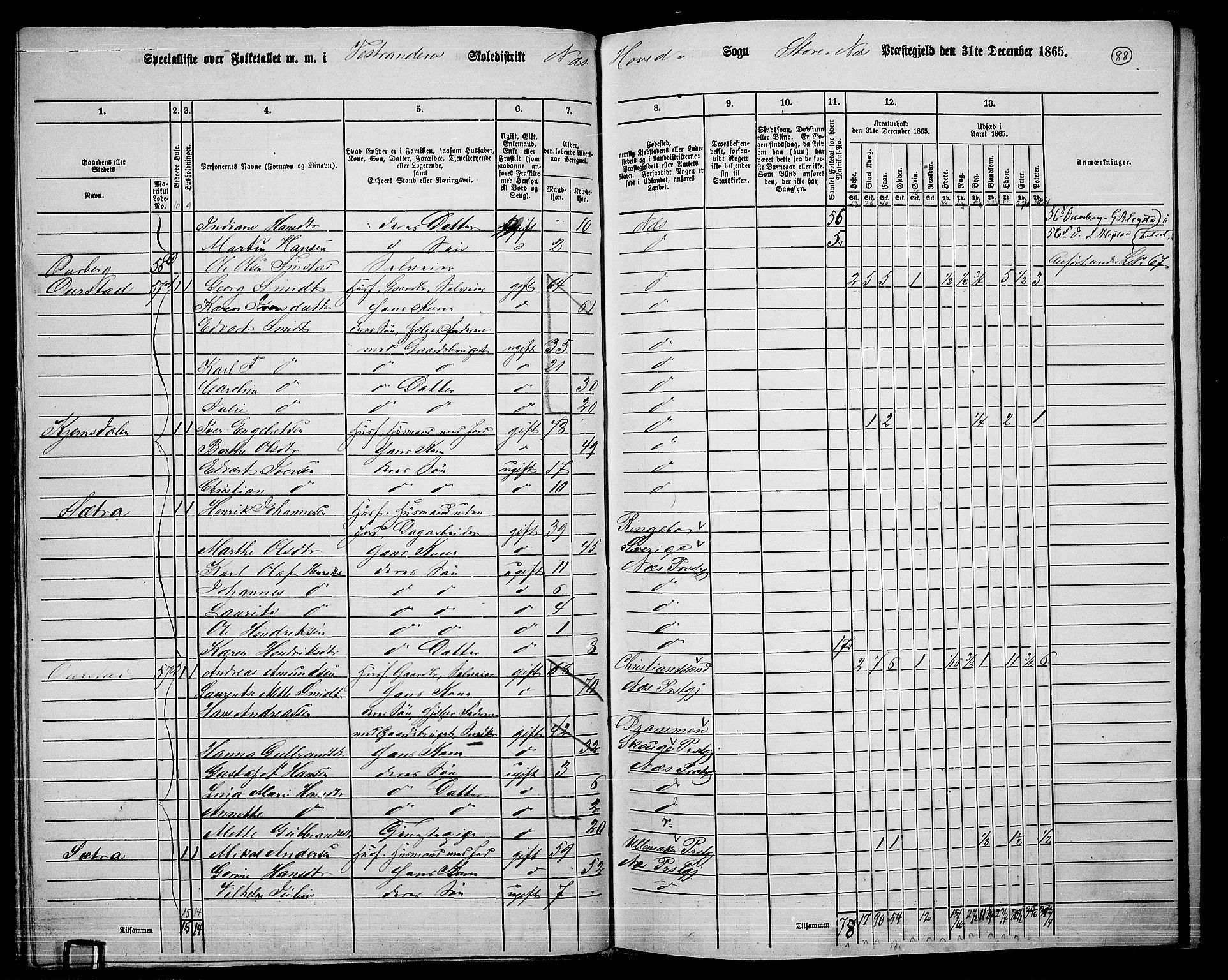 RA, 1865 census for Nes, 1865, p. 80