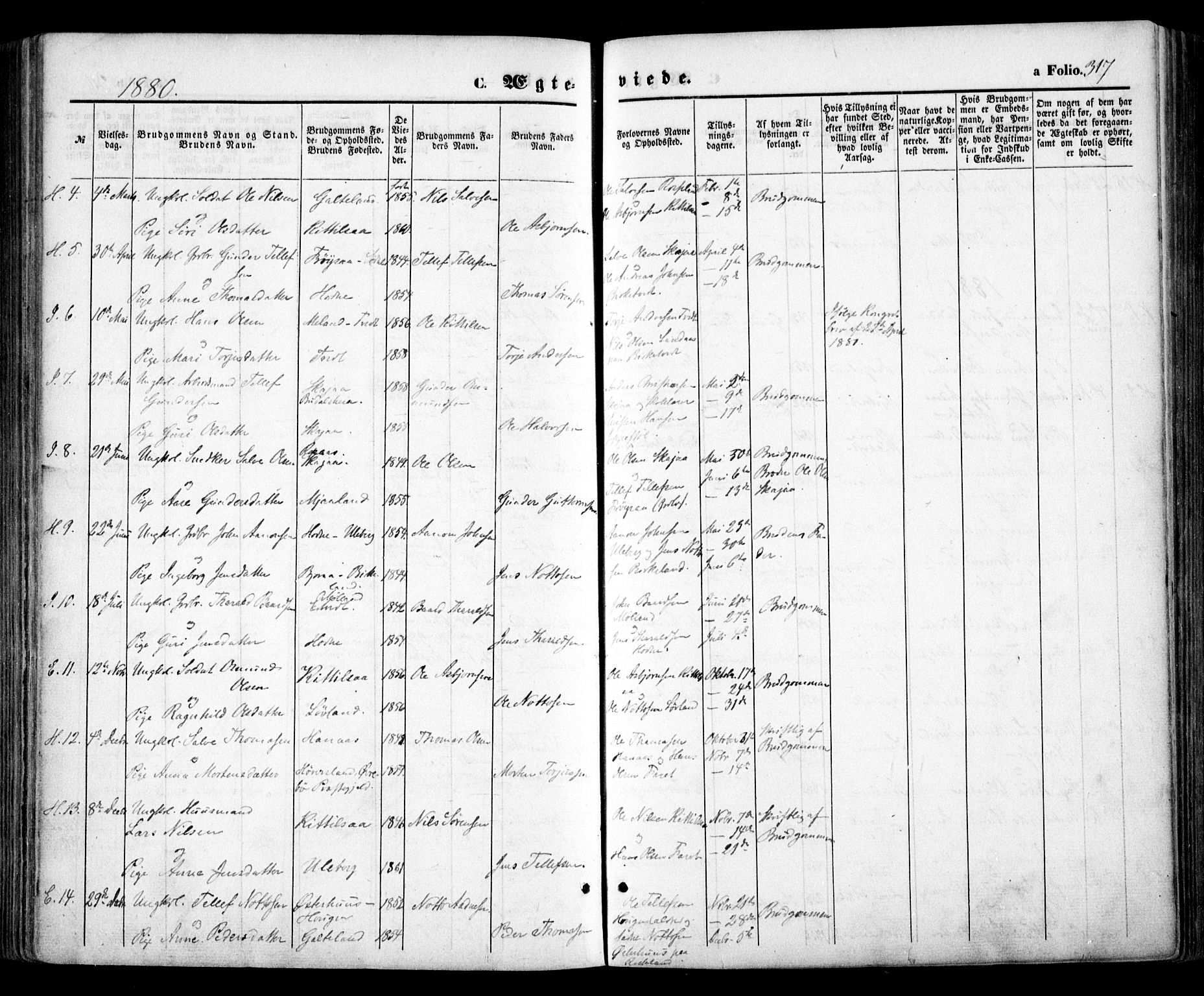 Evje sokneprestkontor, AV/SAK-1111-0008/F/Fa/Faa/L0006: Parish register (official) no. A 6, 1866-1884, p. 317