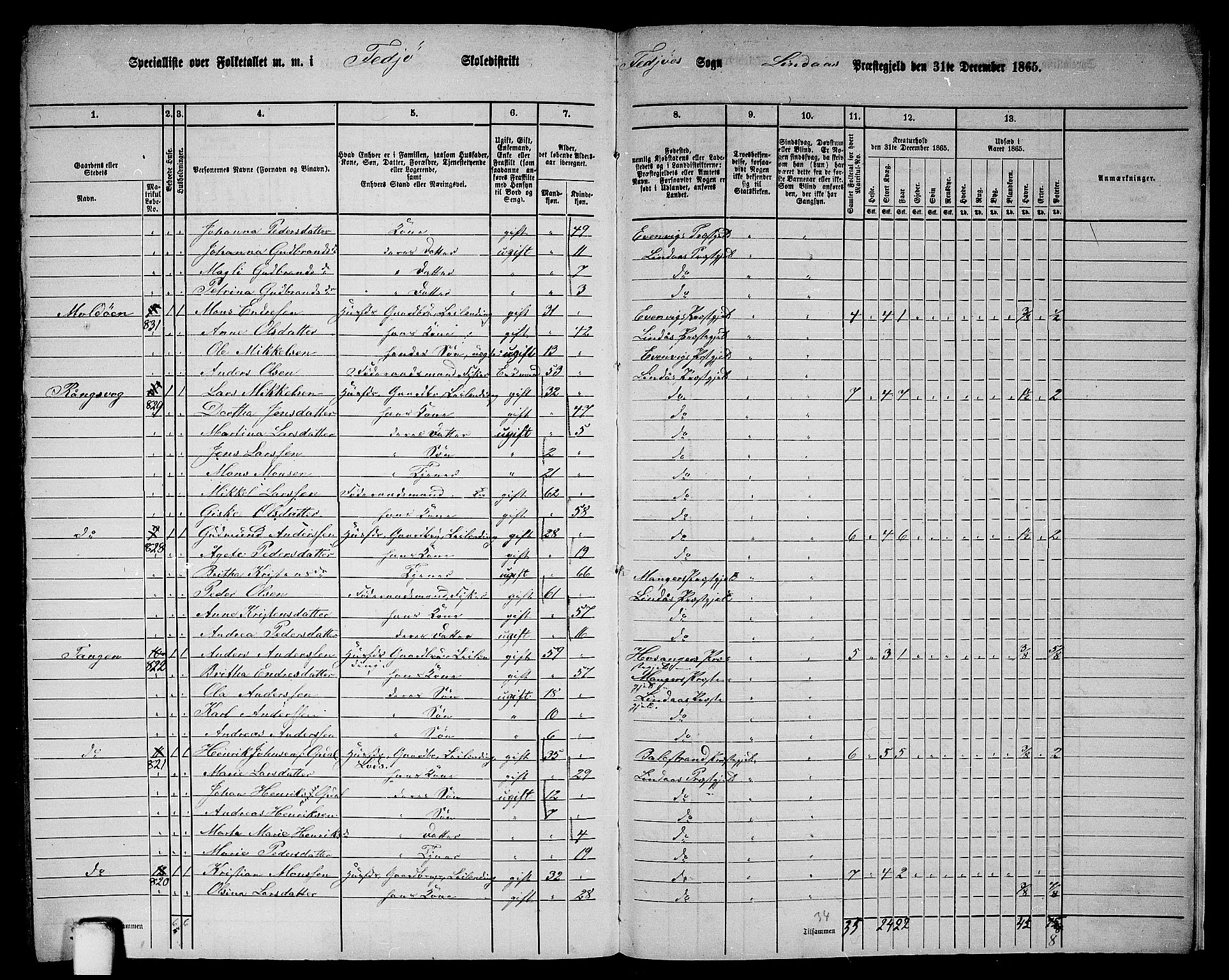 RA, 1865 census for Lindås, 1865, p. 293