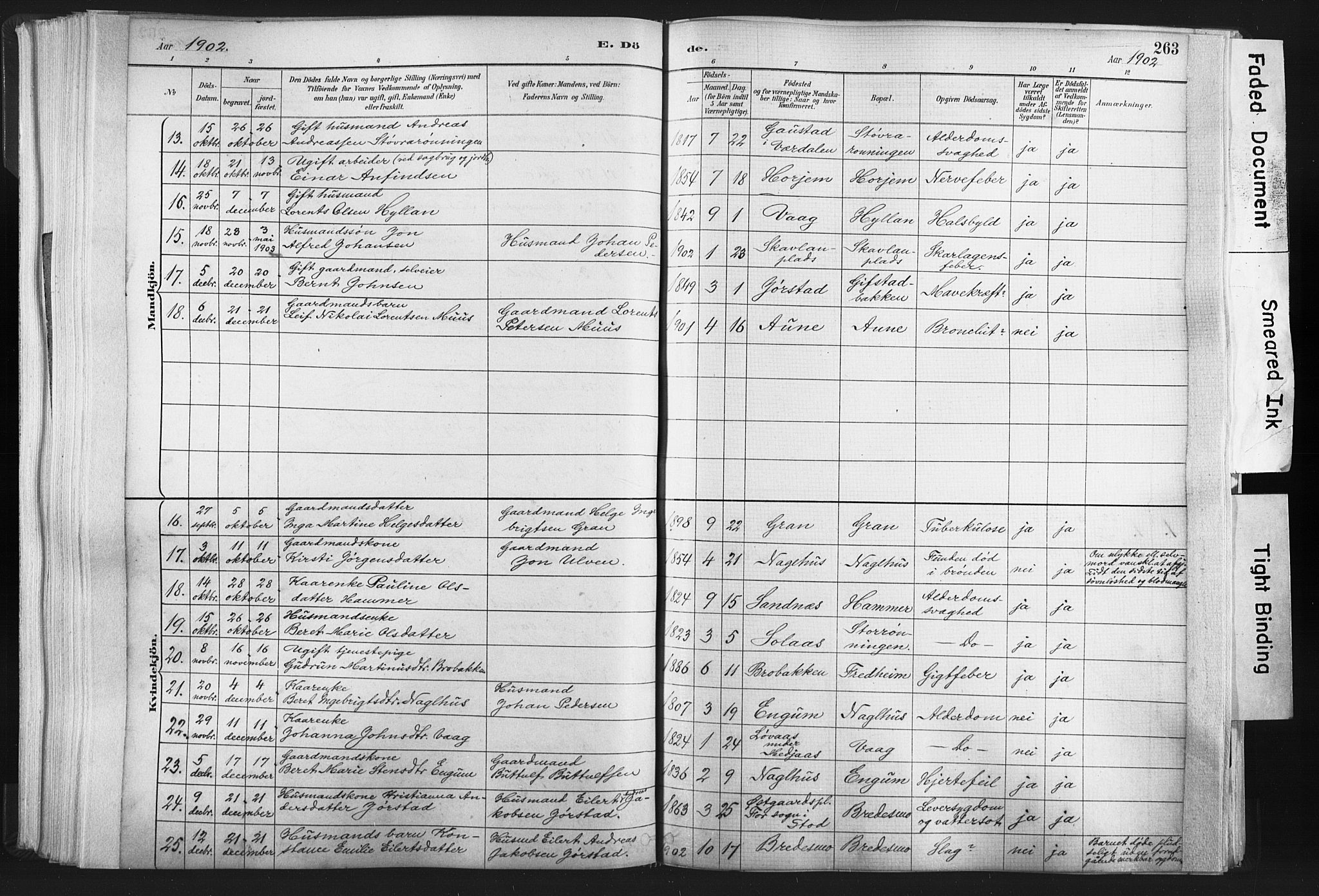 Ministerialprotokoller, klokkerbøker og fødselsregistre - Nord-Trøndelag, SAT/A-1458/749/L0474: Parish register (official) no. 749A08, 1887-1903, p. 263