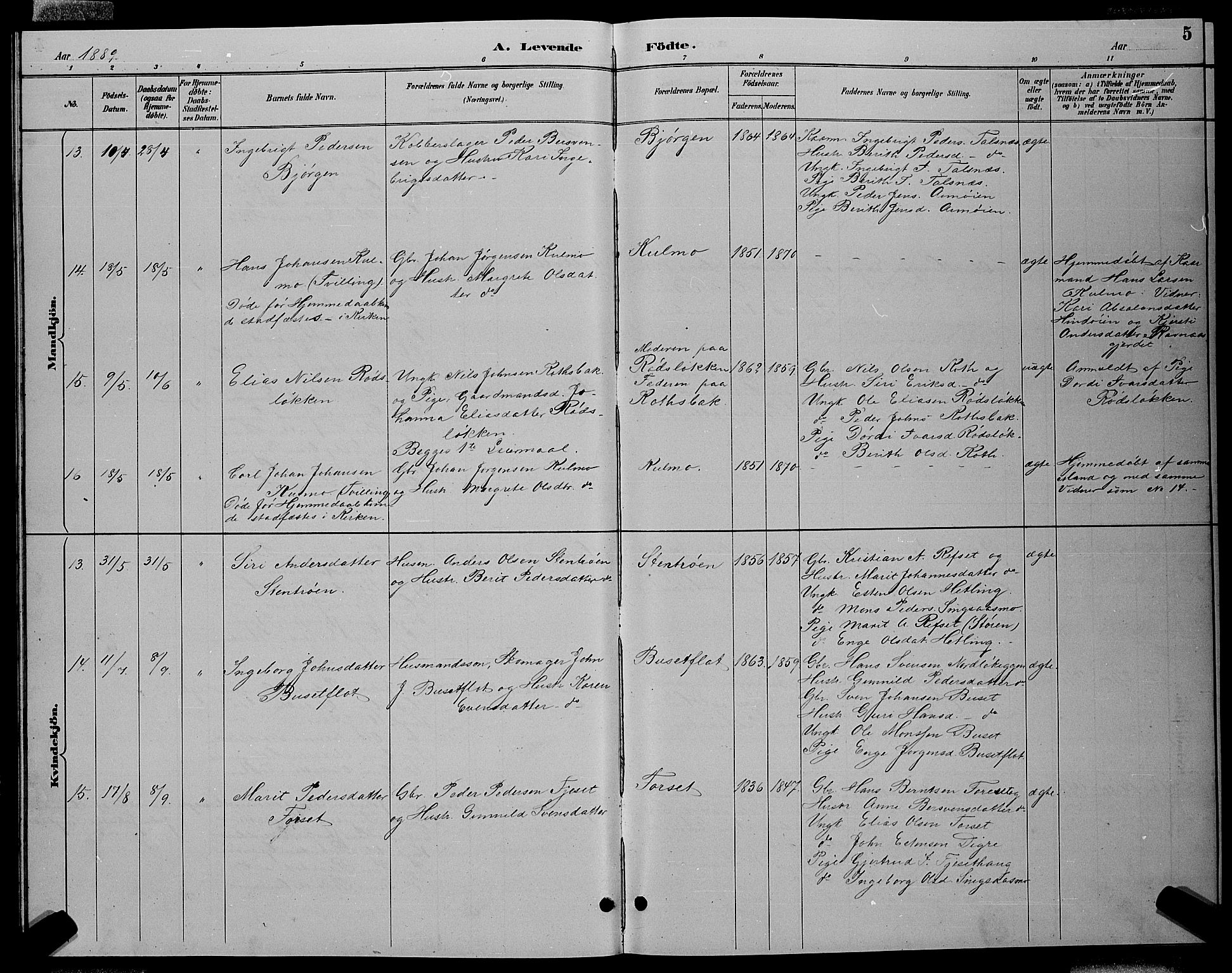 Ministerialprotokoller, klokkerbøker og fødselsregistre - Sør-Trøndelag, AV/SAT-A-1456/688/L1028: Parish register (copy) no. 688C03, 1889-1899, p. 5