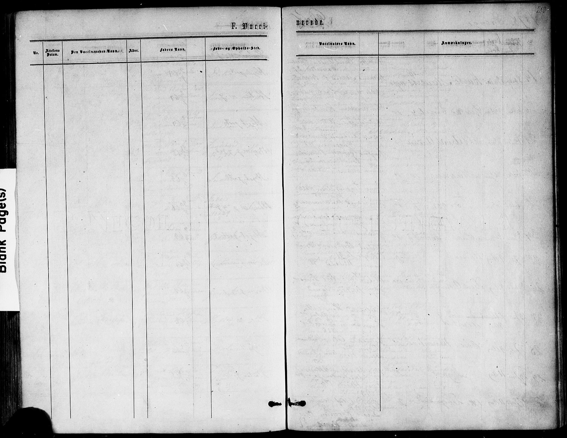 Nøtterøy kirkebøker, AV/SAKO-A-354/F/Fb/L0001: Parish register (official) no. II 1, 1865-1878, p. 250